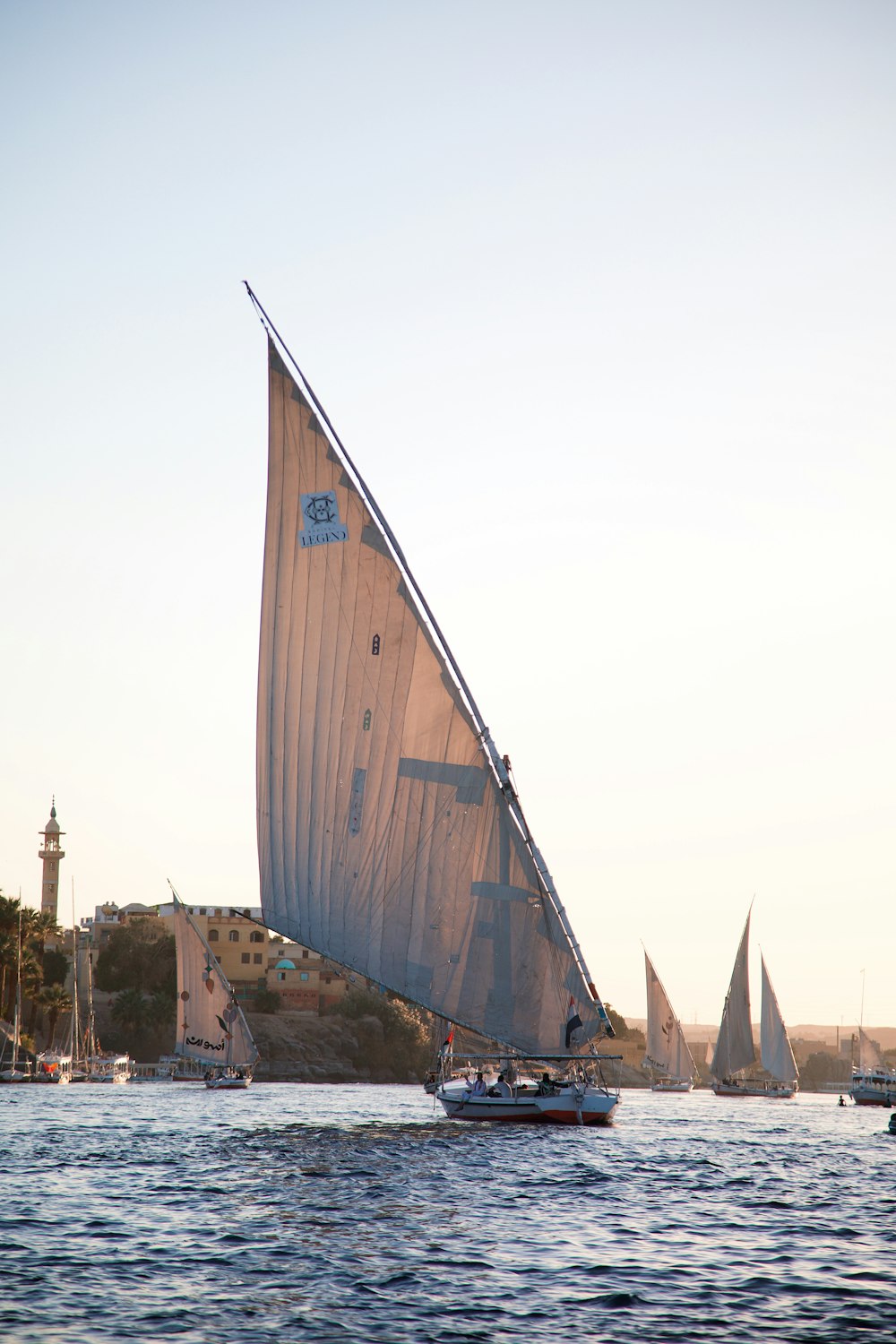 a group of sailboats sailing on a body of water