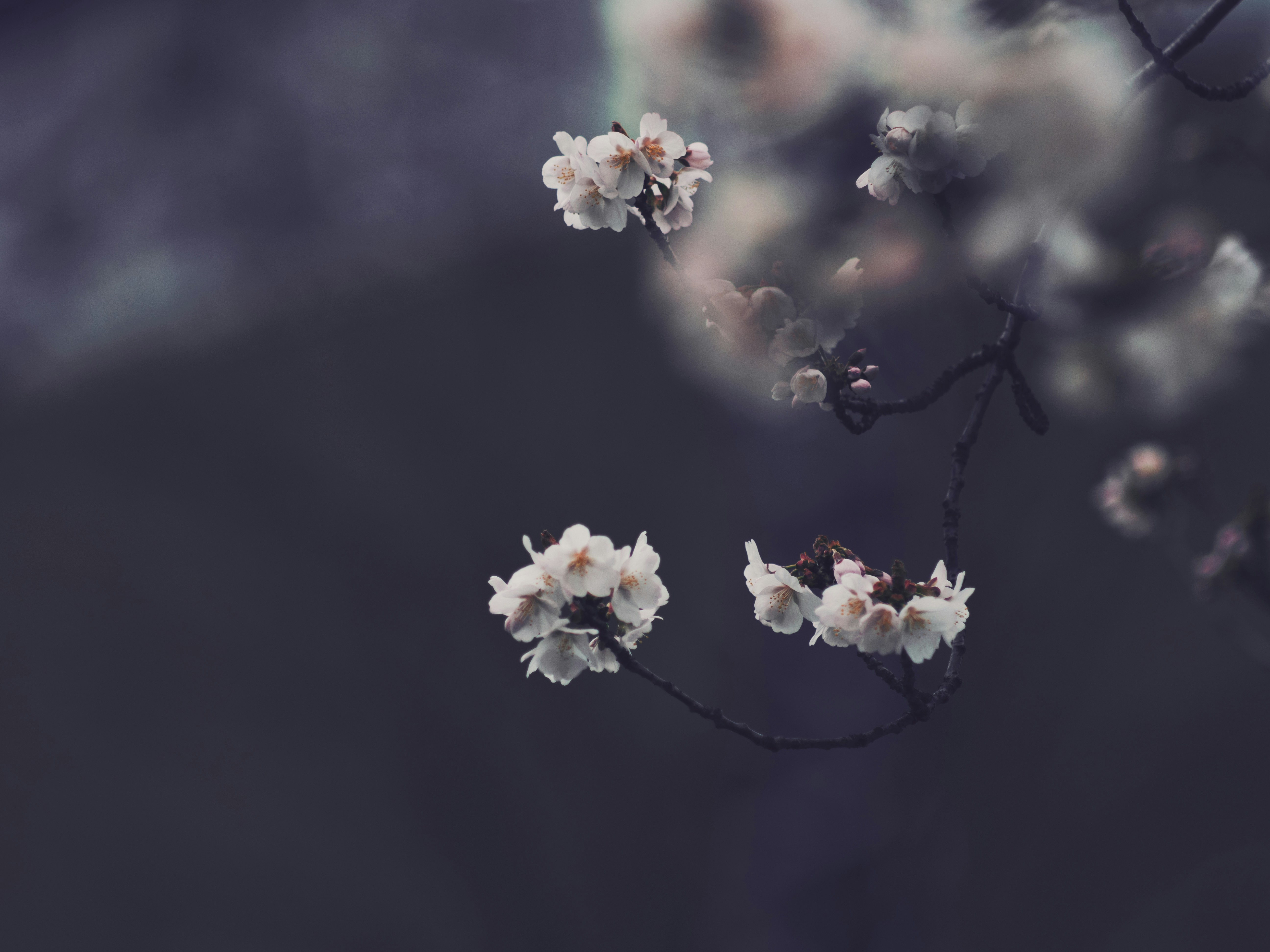 Photo by daniel_von_appen