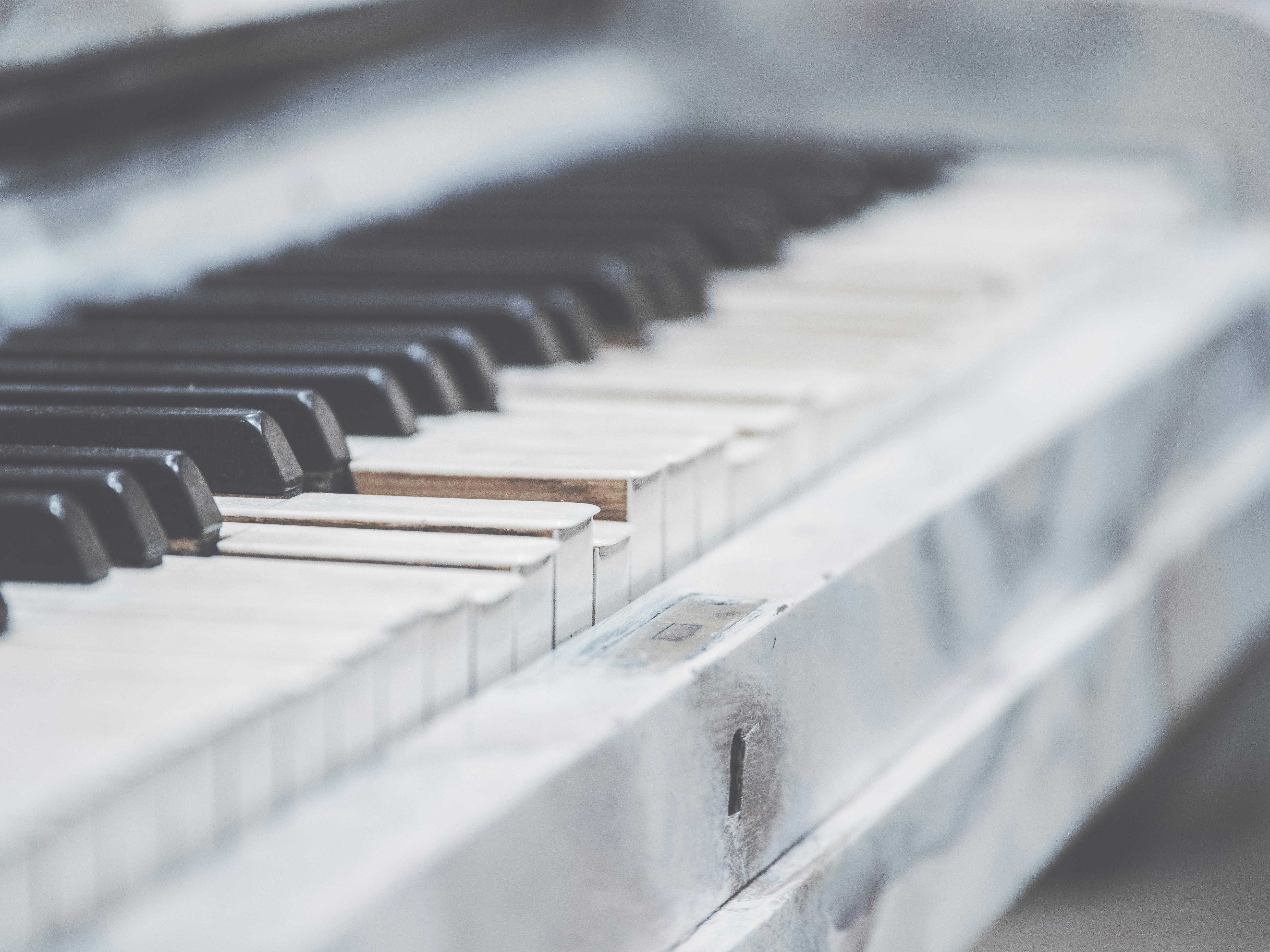 Photo by daniel_von_appen