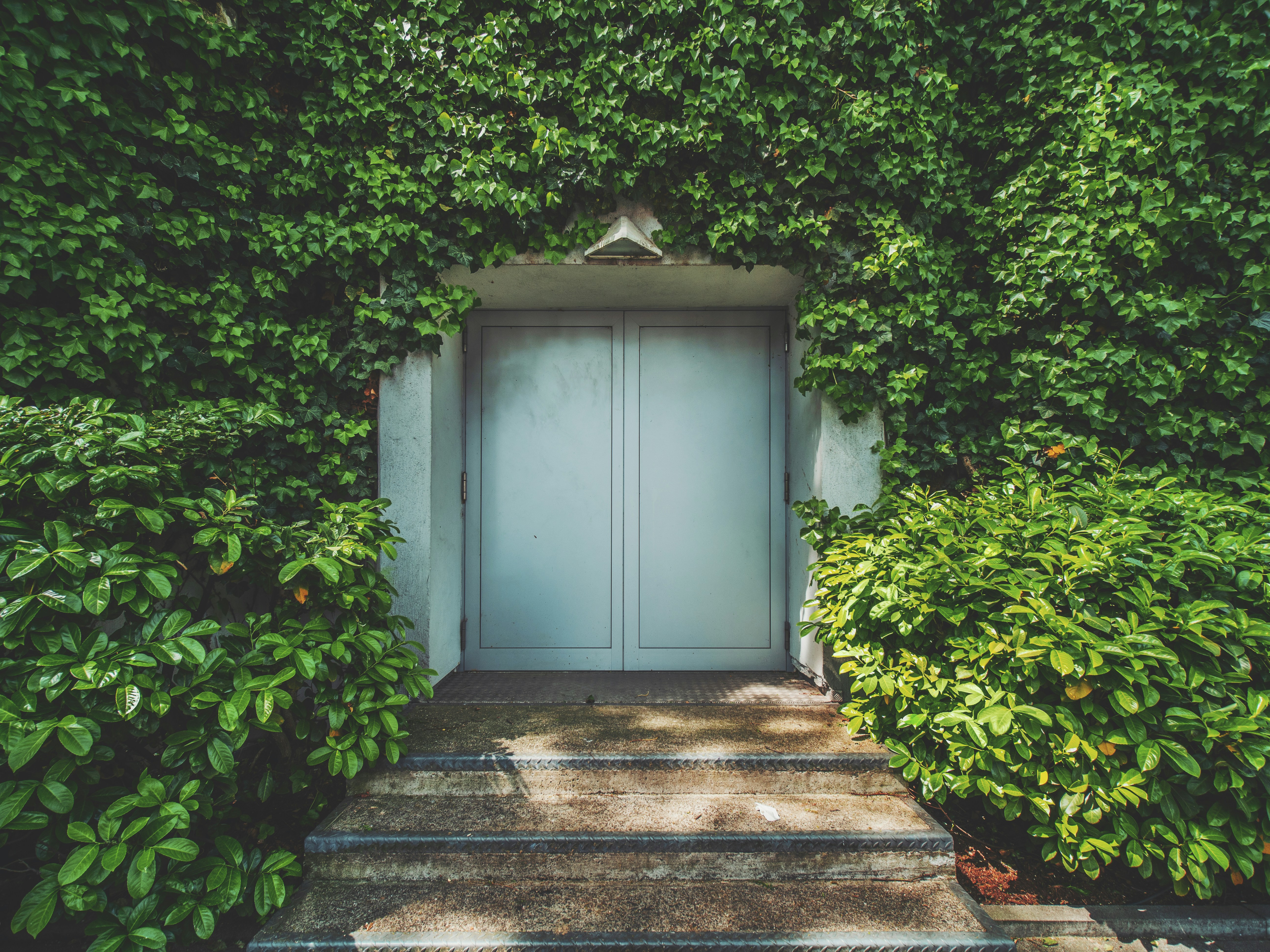 Photo by daniel_von_appen