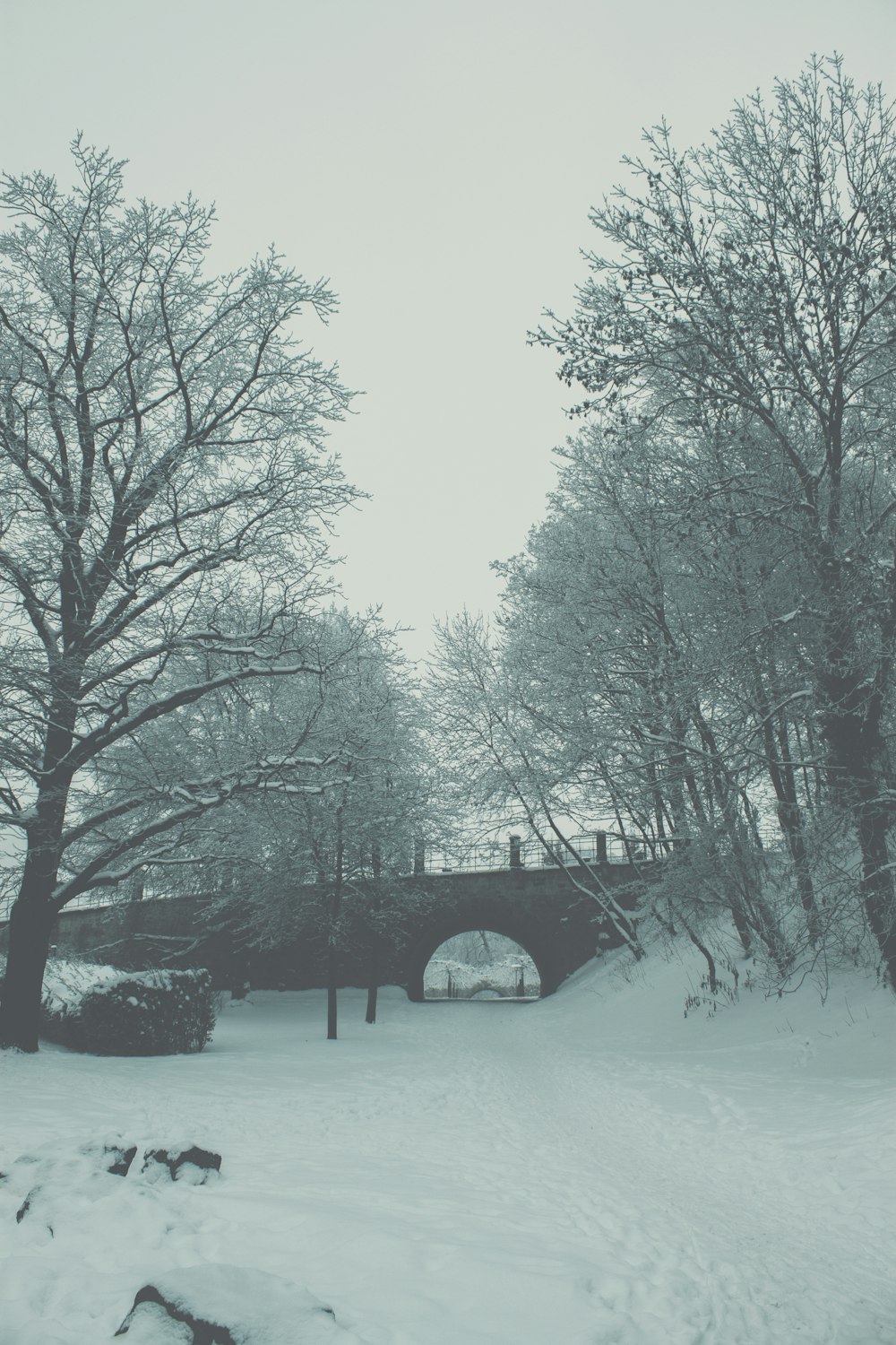 a bridge over a snow covered river in a park