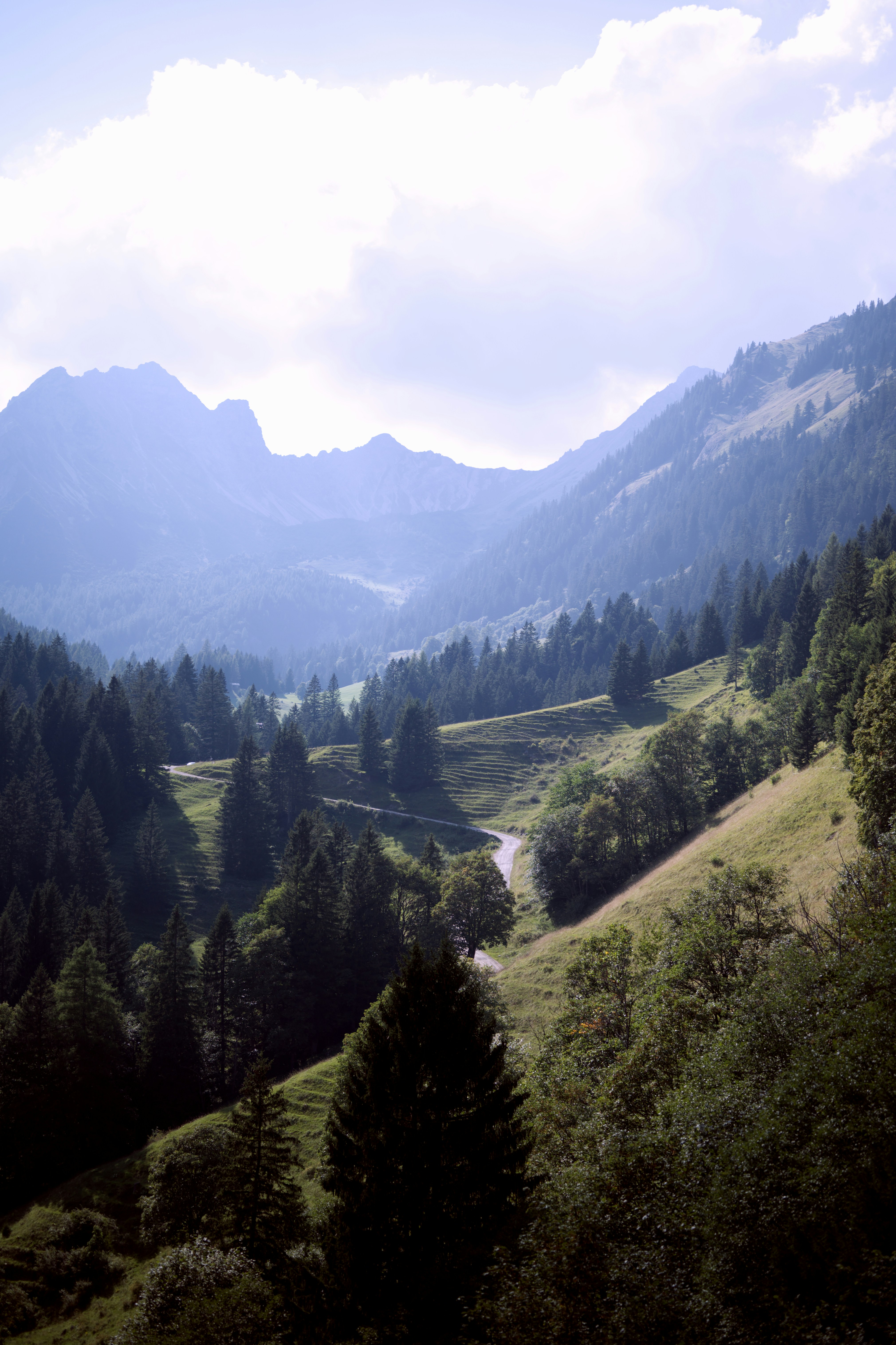 uma vista panorâmica de um vale com árvores e montanhas ao fundo