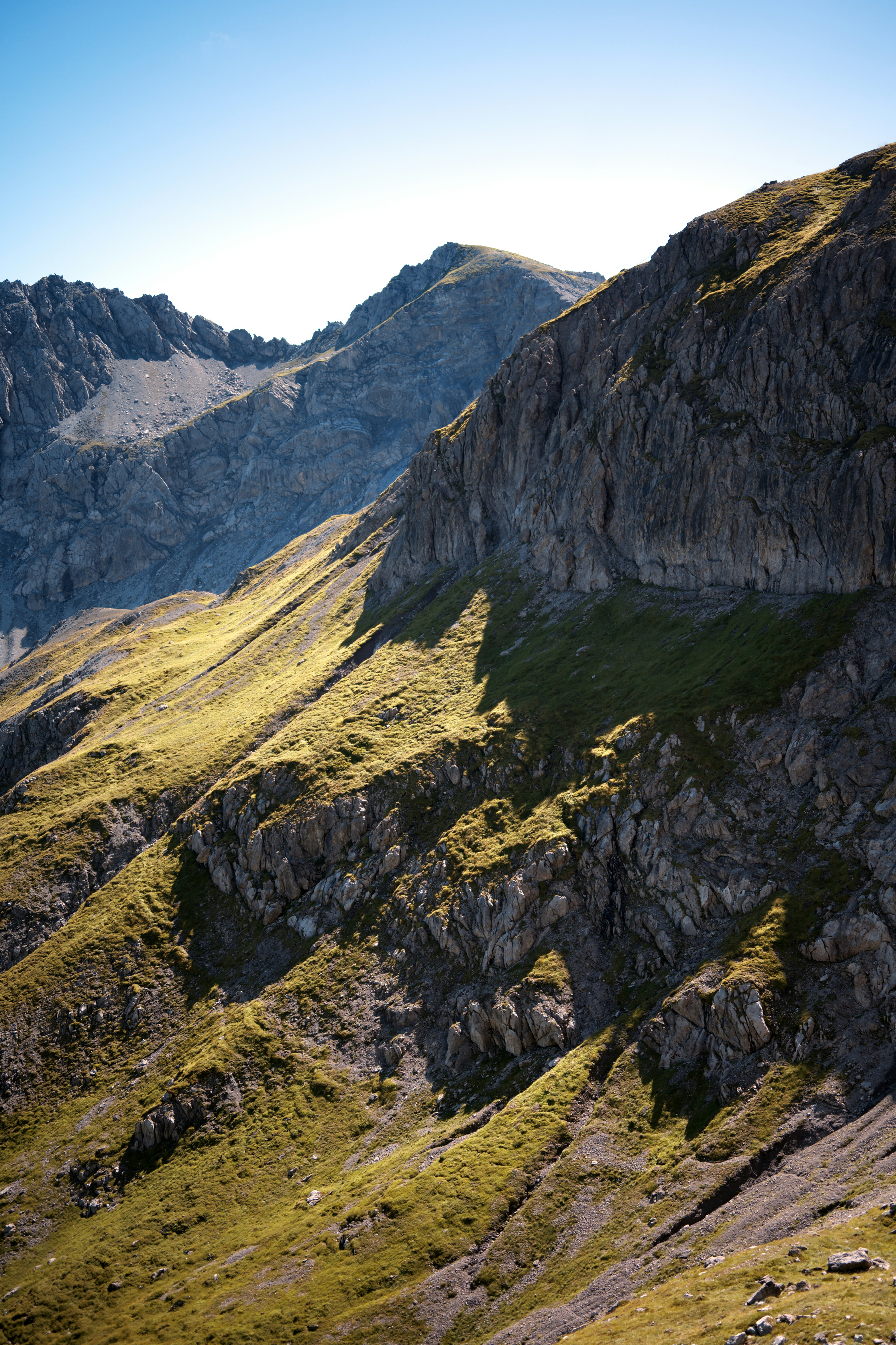 Photo by job_vermeulen