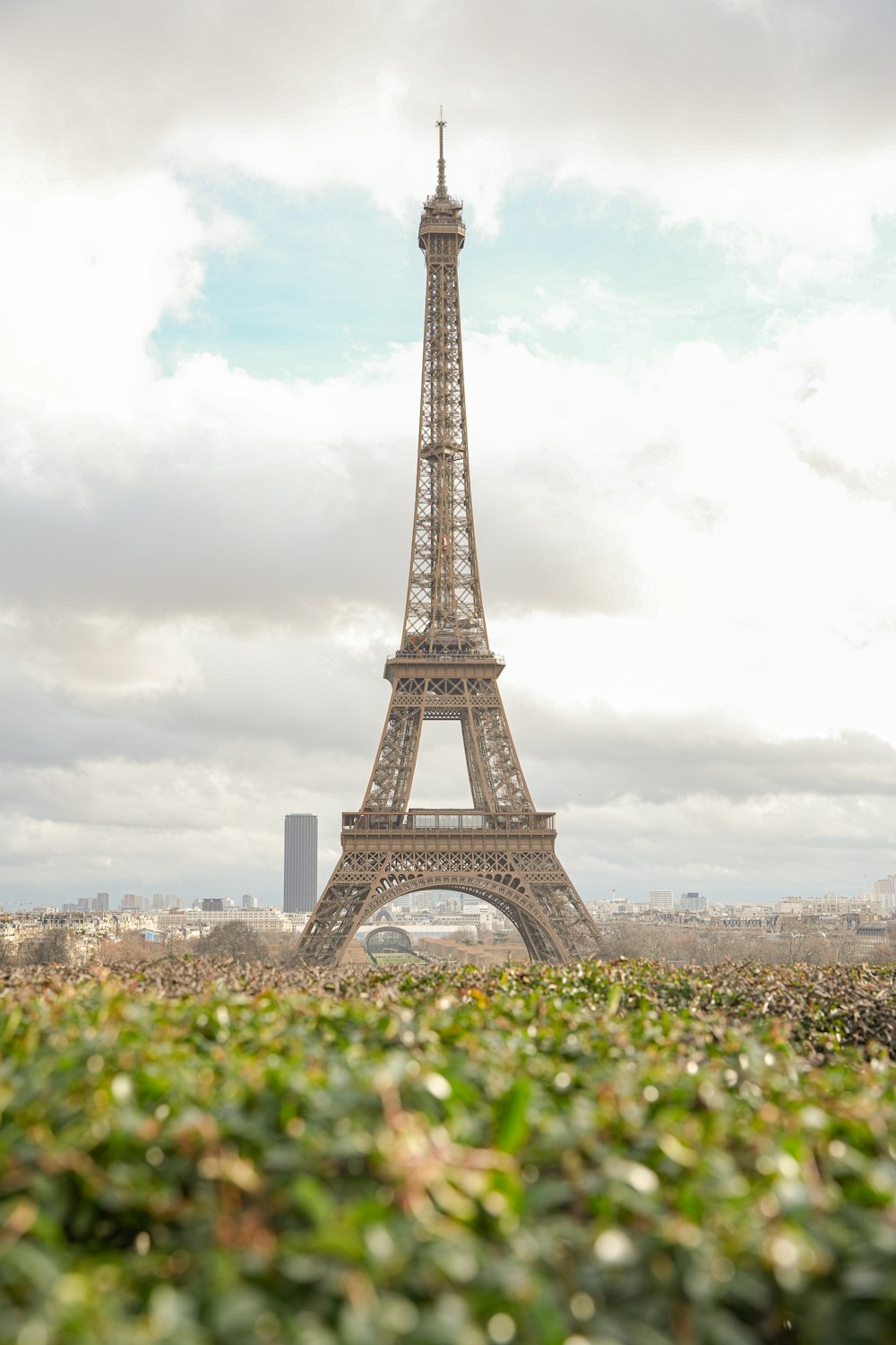 the eiffel tower towering over the city of paris