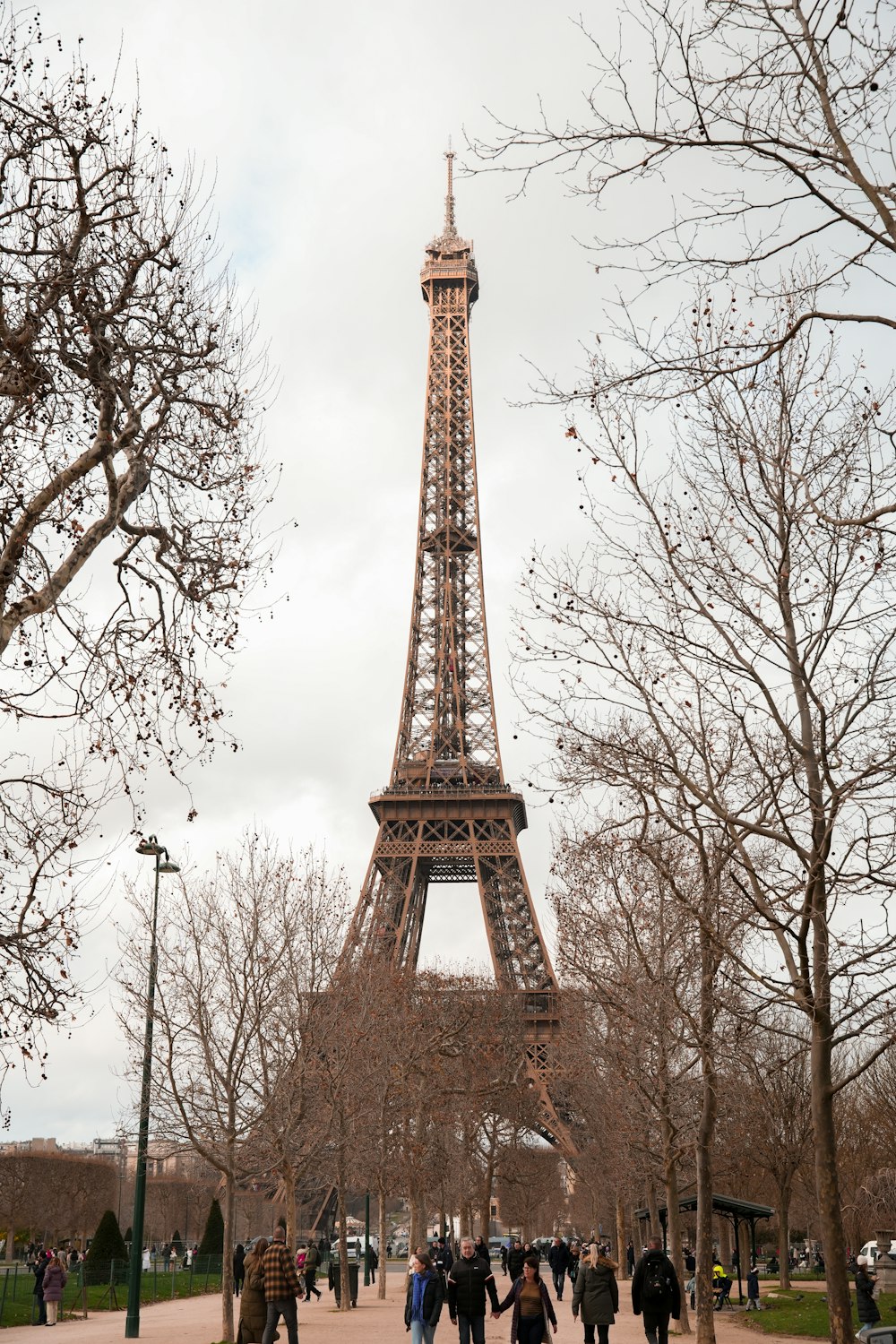 the eiffel tower towering over the city of paris