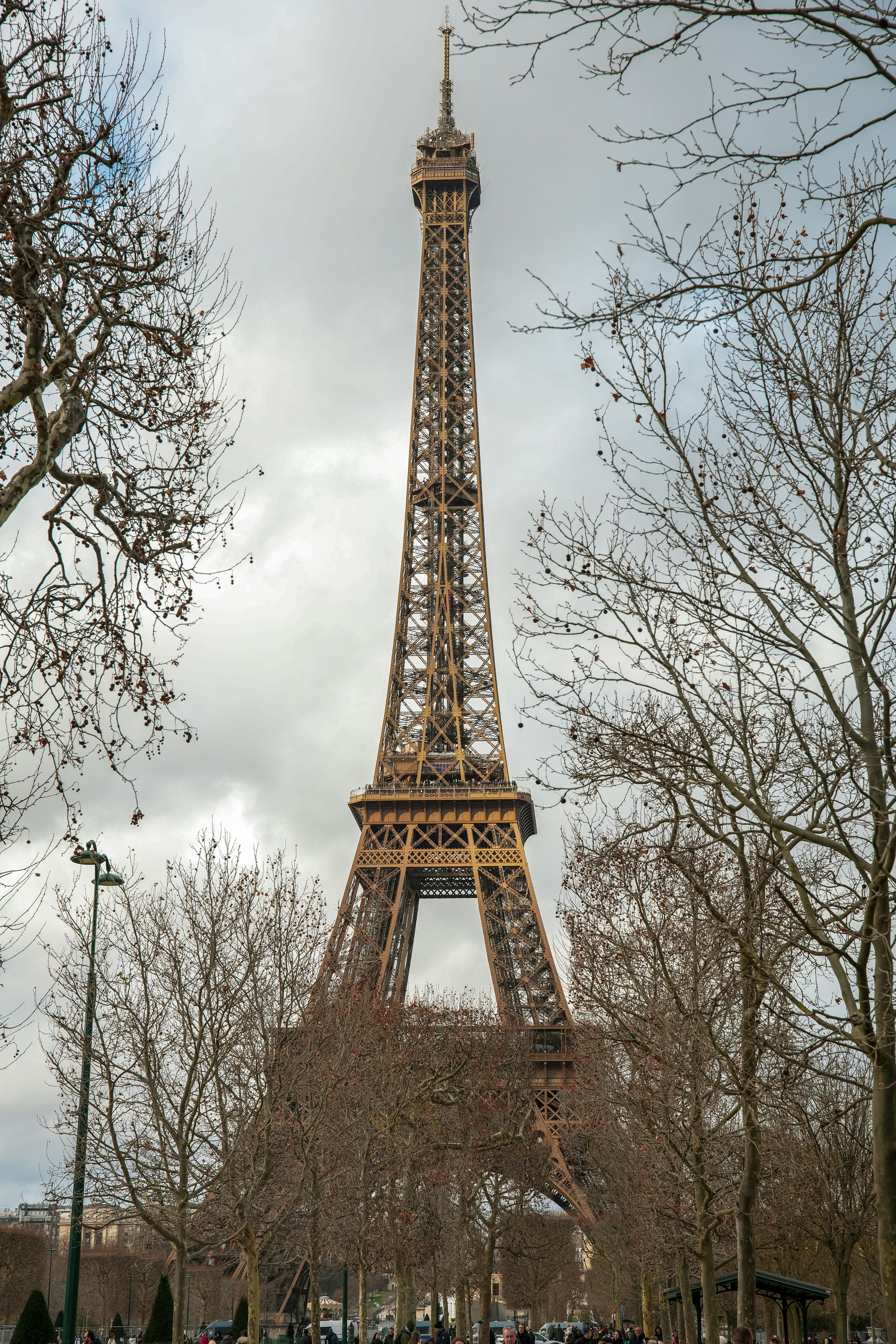 the eiffel tower towering over the city of paris