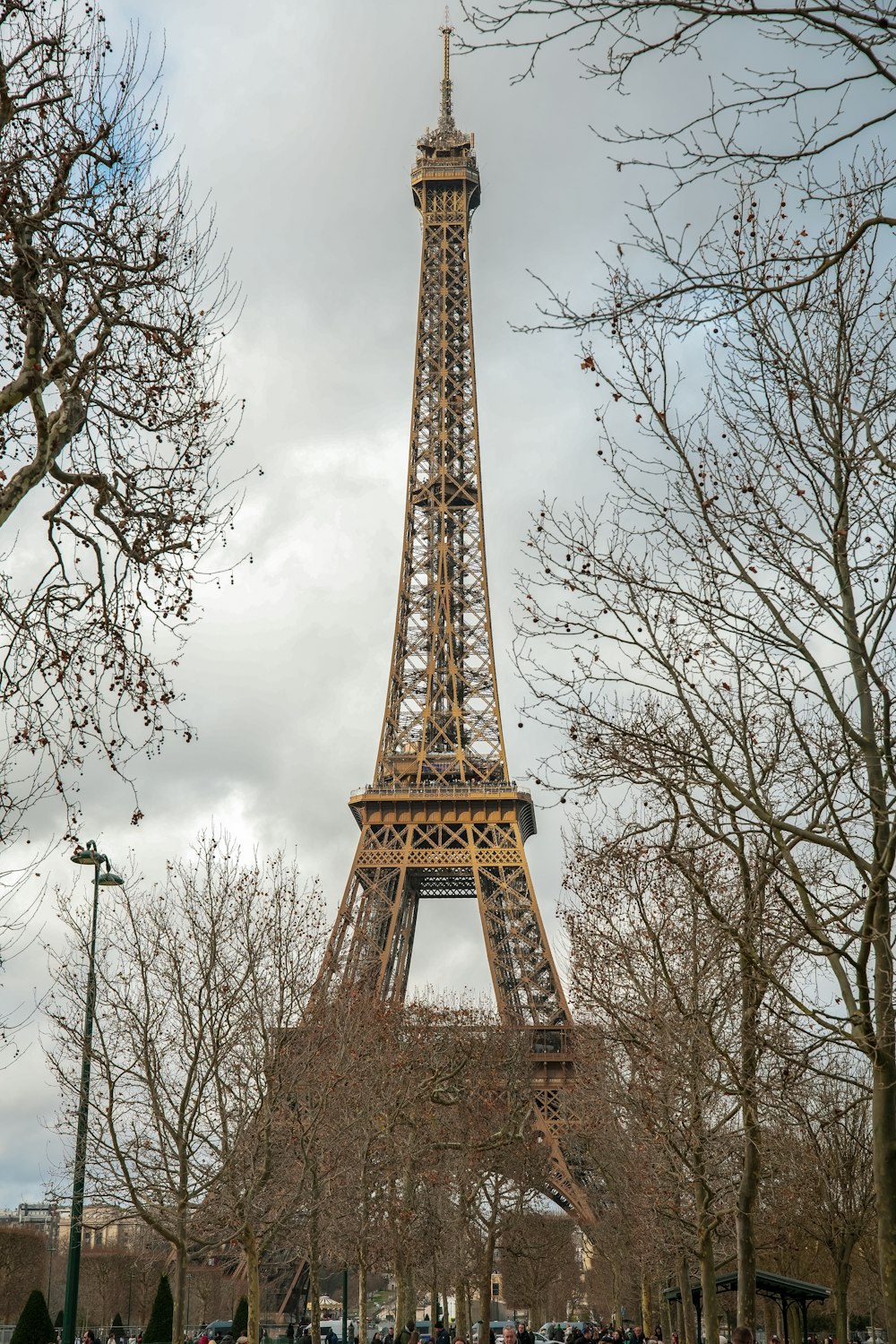 the eiffel tower towering over the city of paris