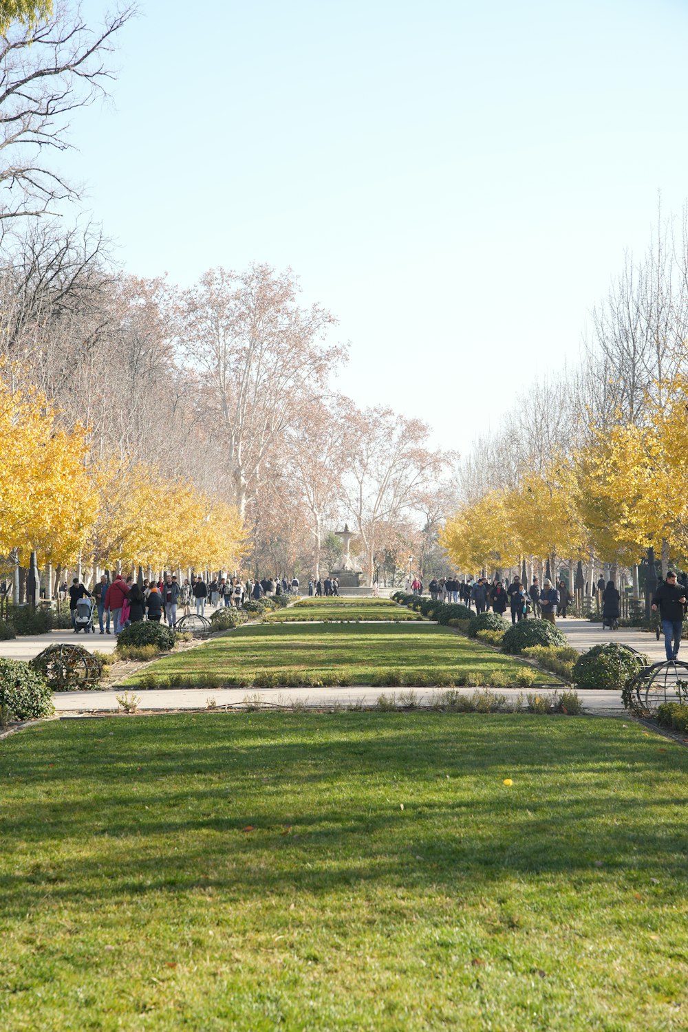 a group of people walking through a park