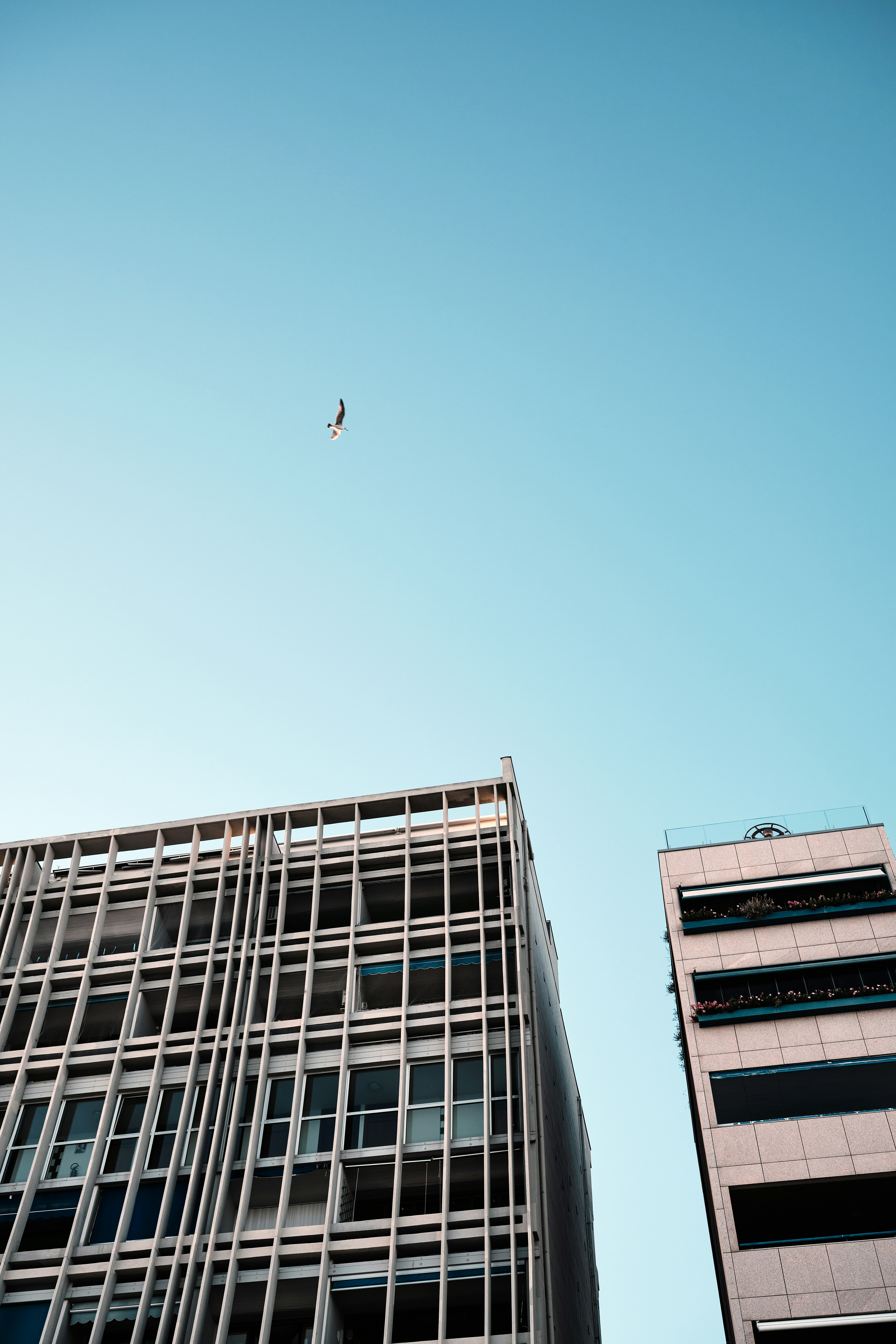 Photo by marcus_ganahl