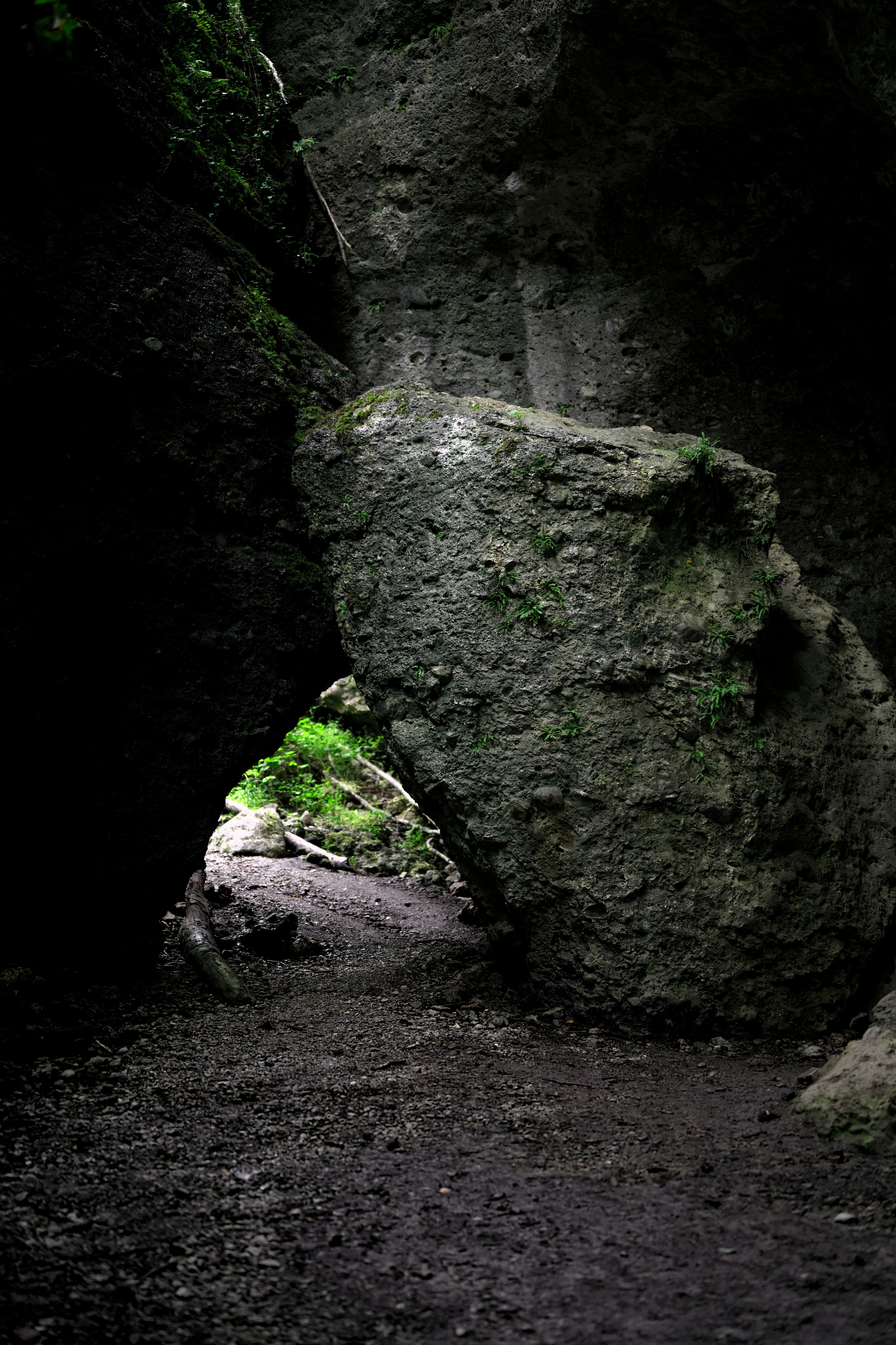 Photo by job_vermeulen