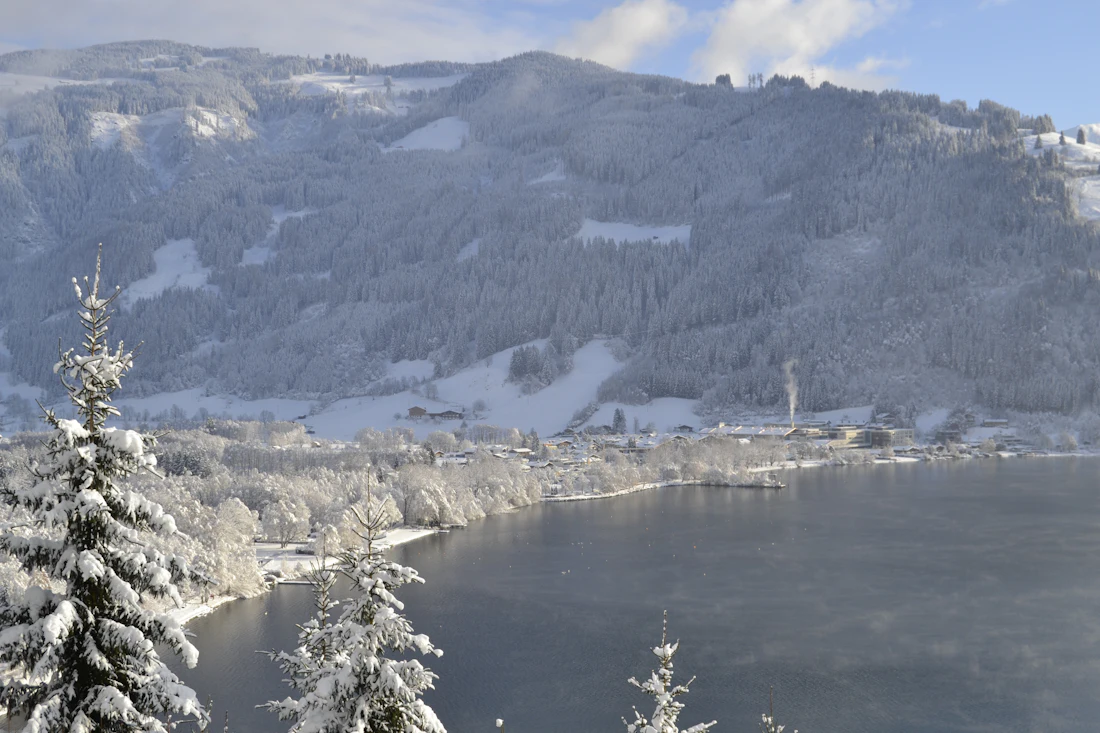 Besneeuwde bomen rond het meer bij Zell am See