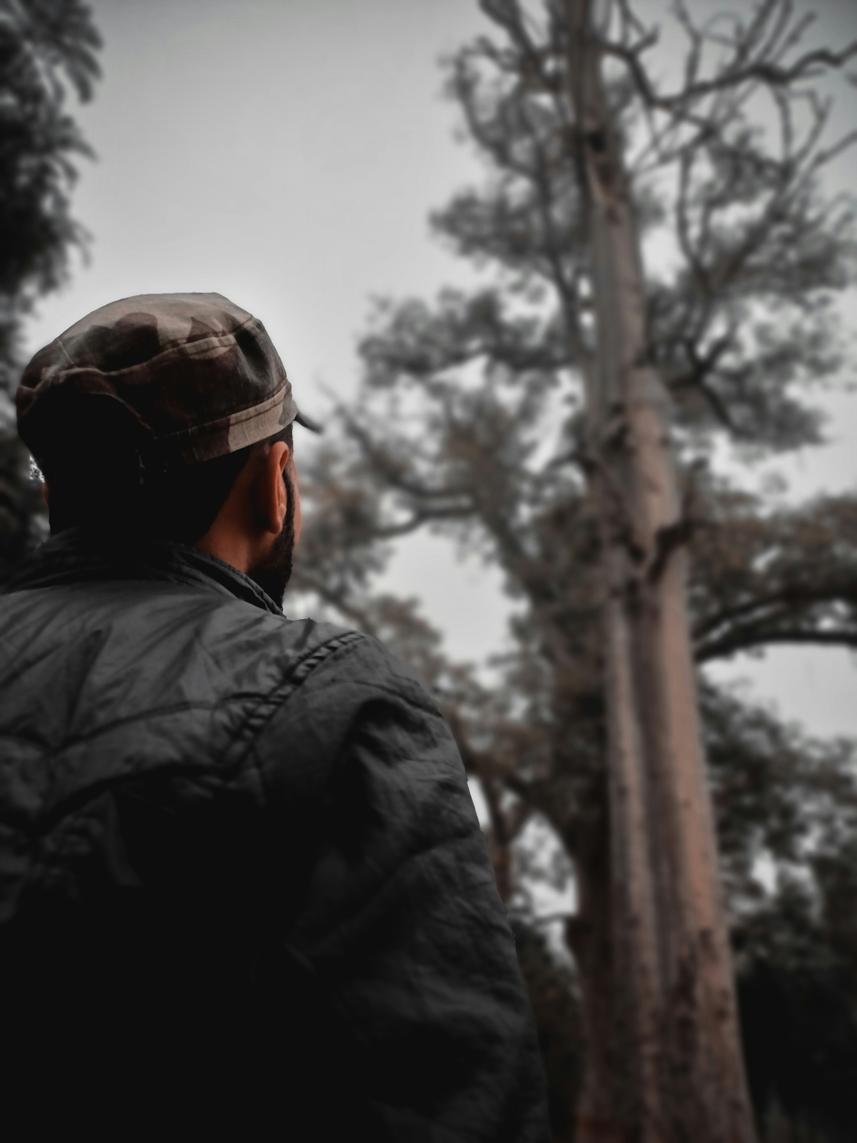 a man standing in front of a tall tree
