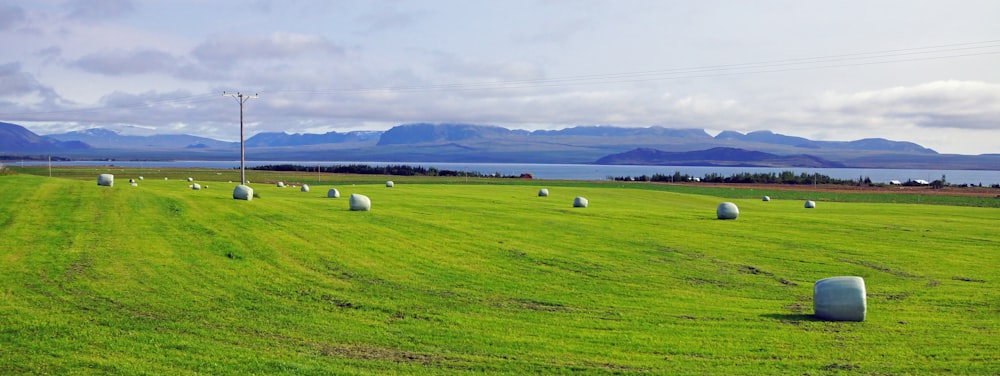 a large field with bales in the middle of it