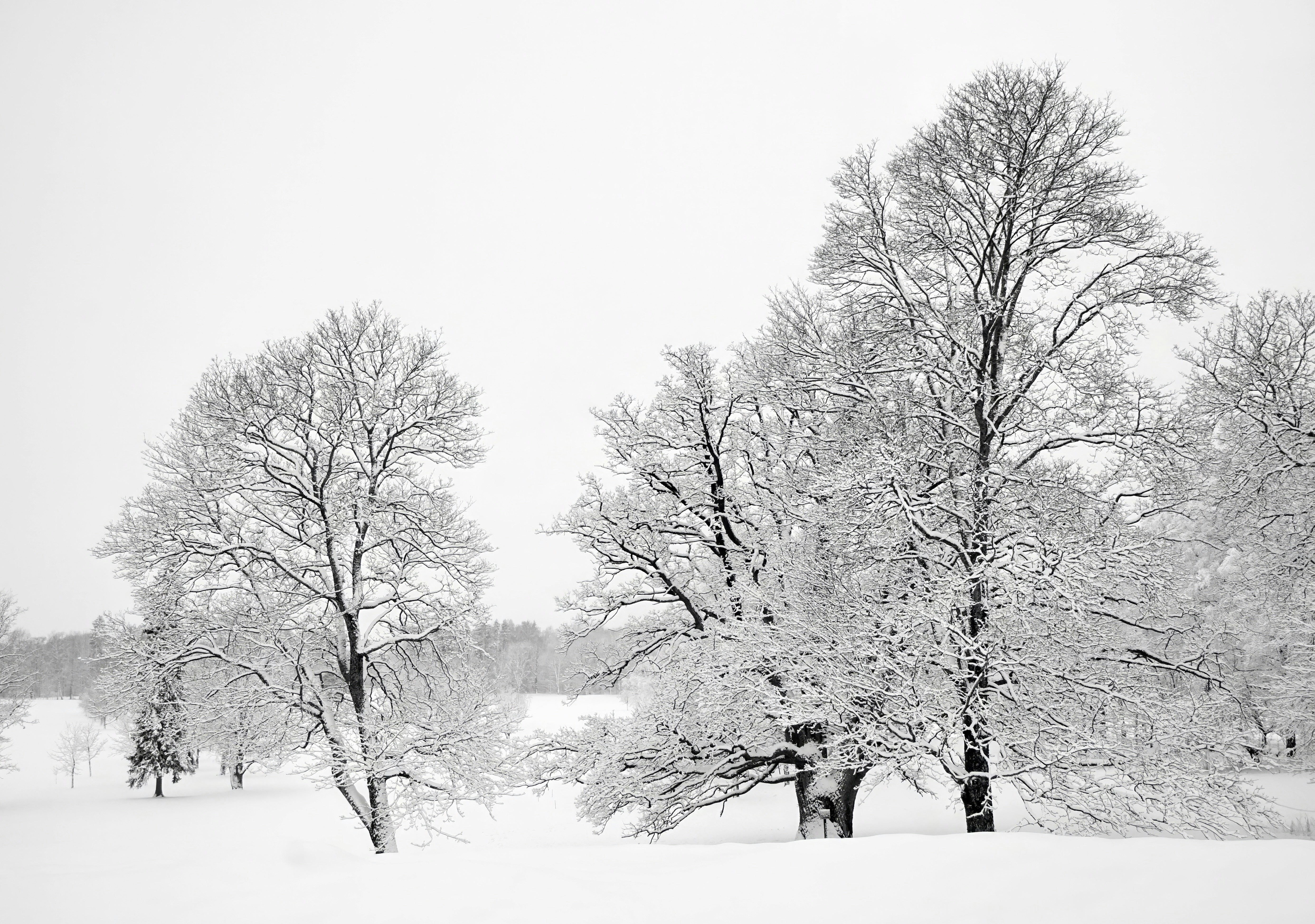 Photo by marttisalmi