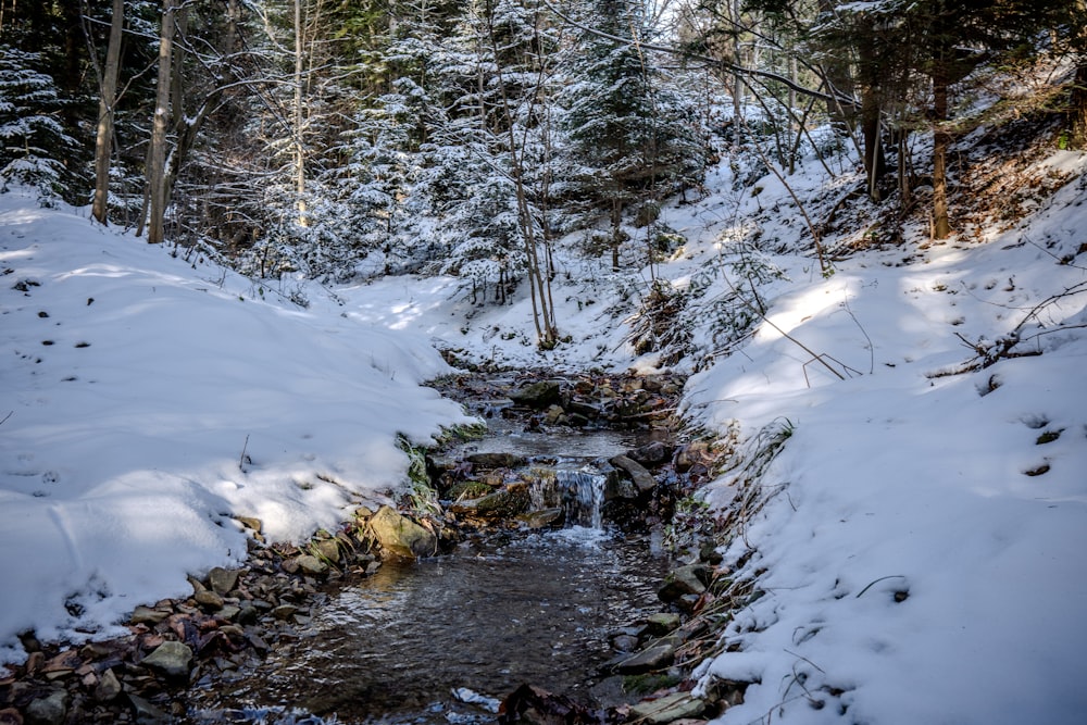 a stream running through a snow covered forest