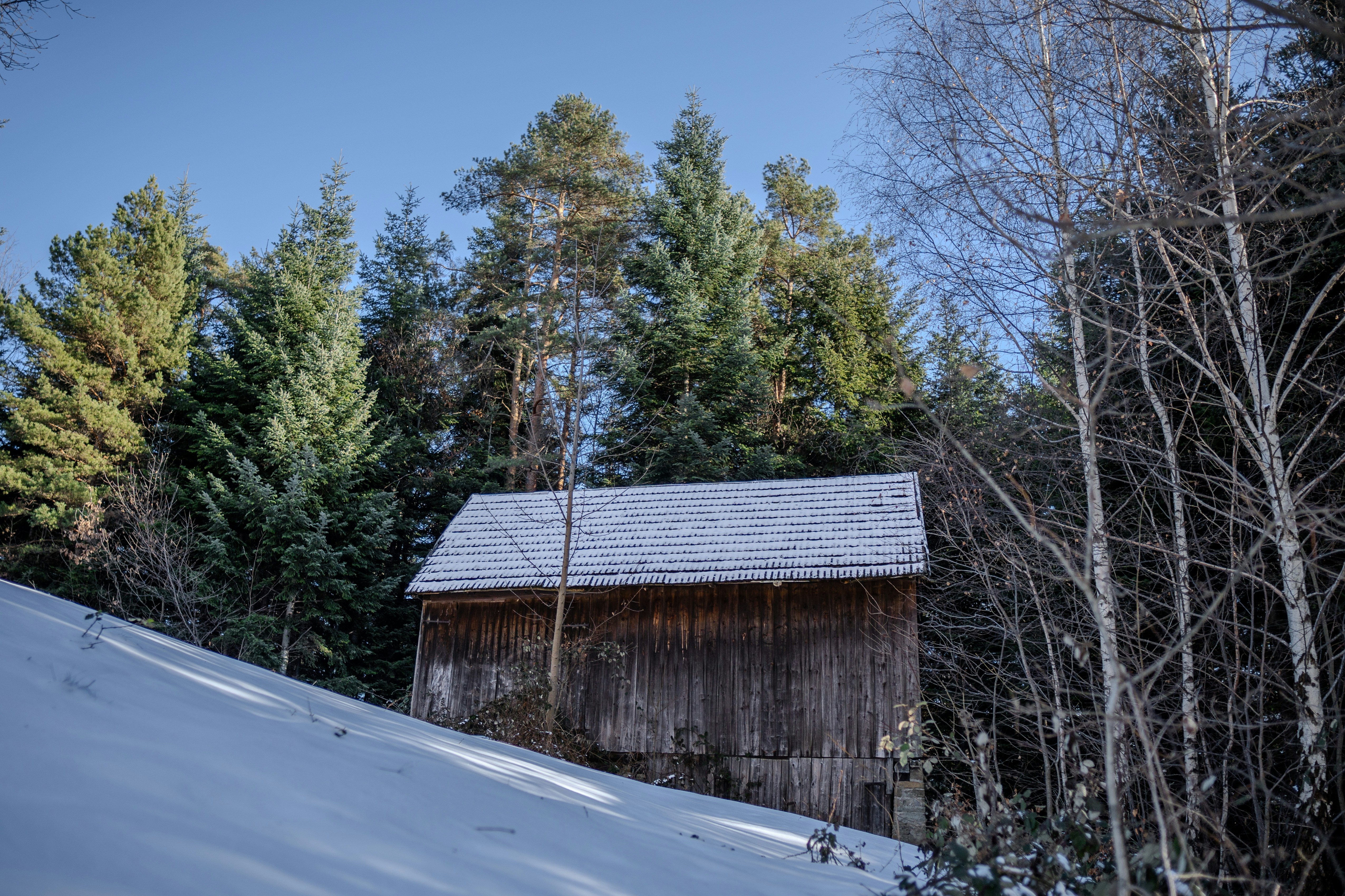 Photo by misha_blivi