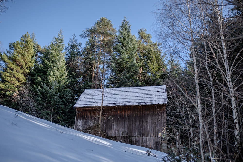 a barn in the middle of a snowy forest