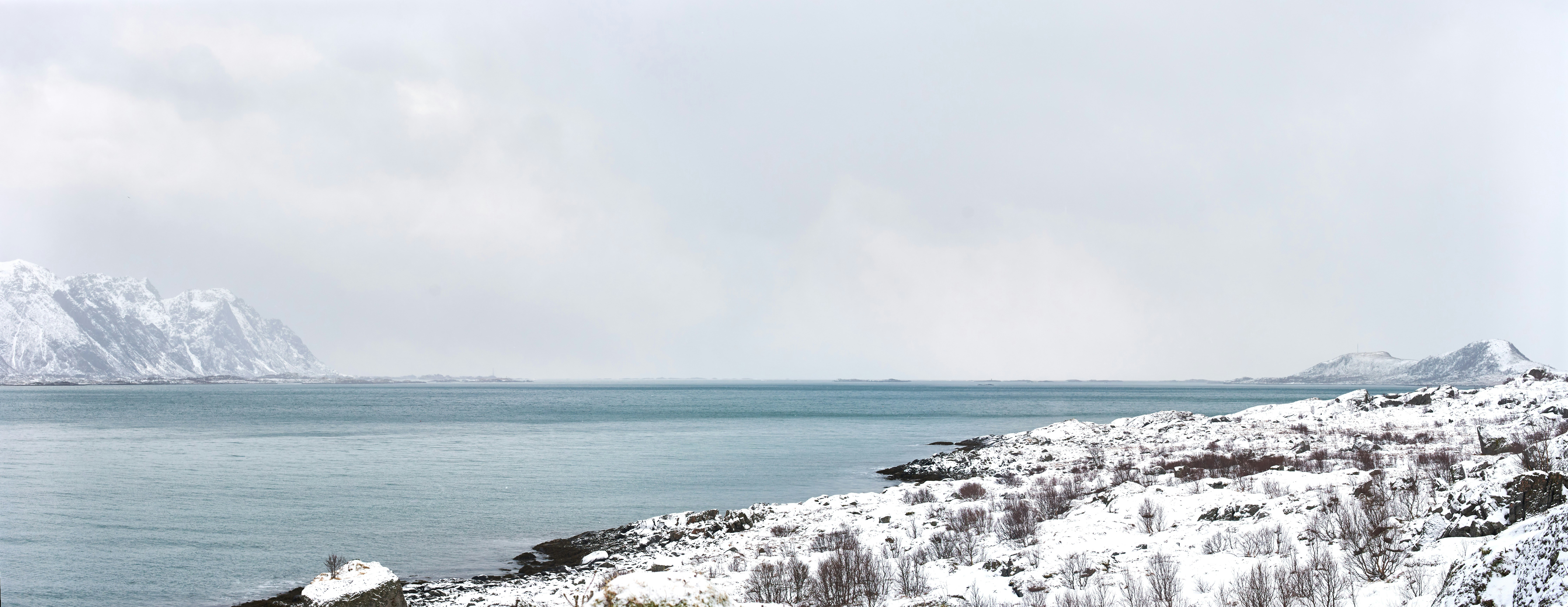 Photo by wolfgang_hasselmann