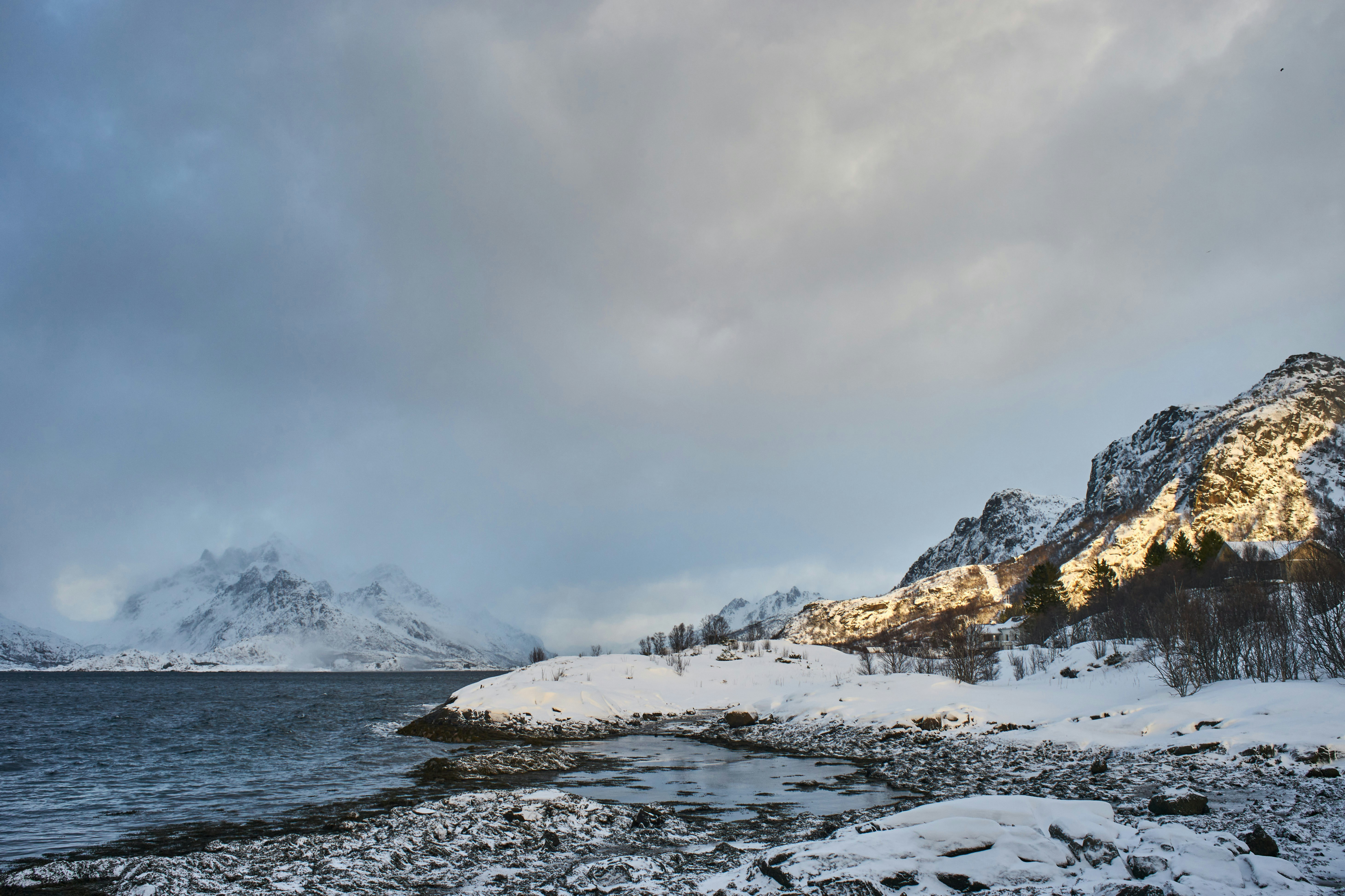 Photo by wolfgang_hasselmann