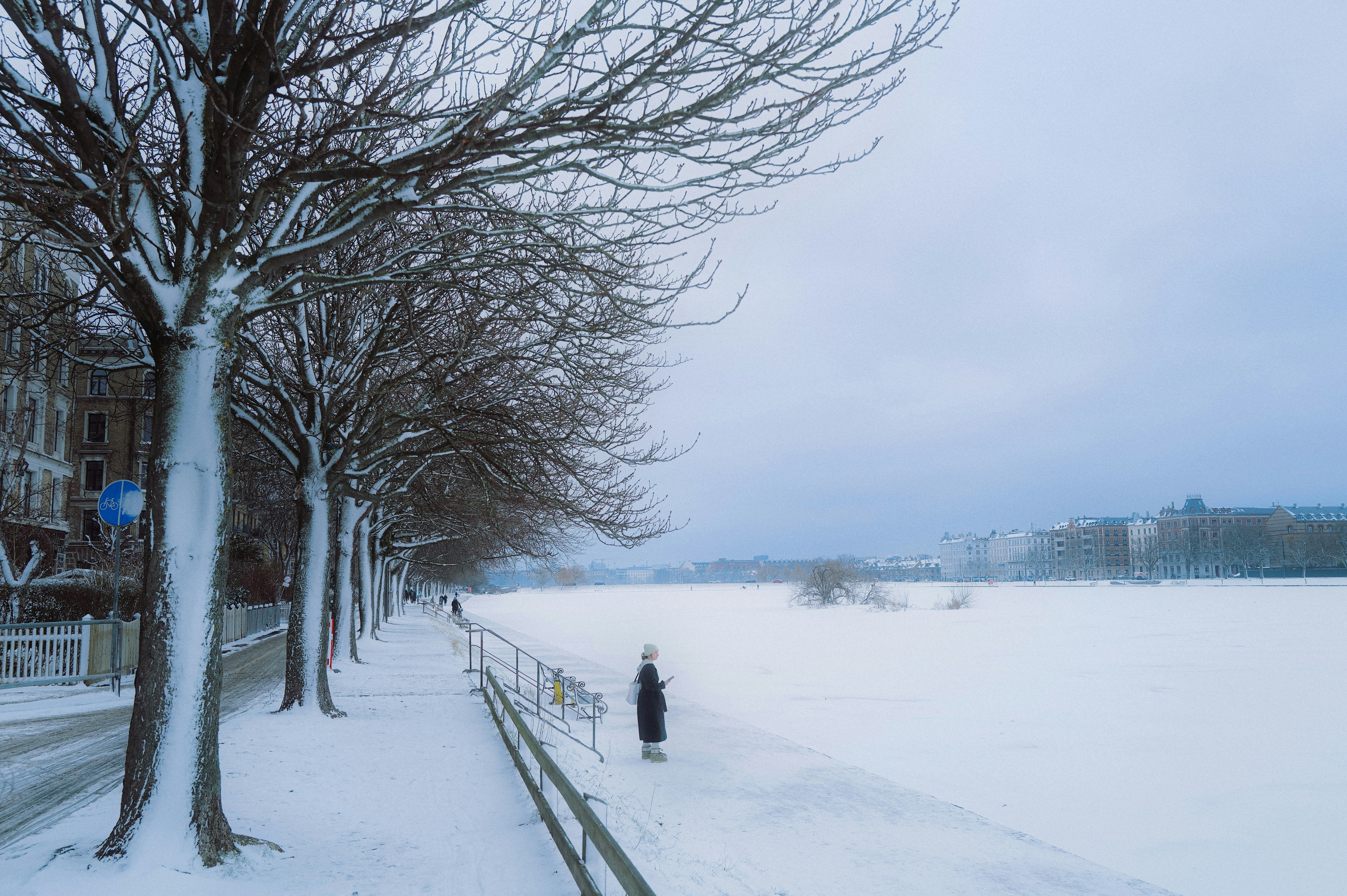 a person standing in the snow near some trees, Snow in Copenhagen, Denmark.