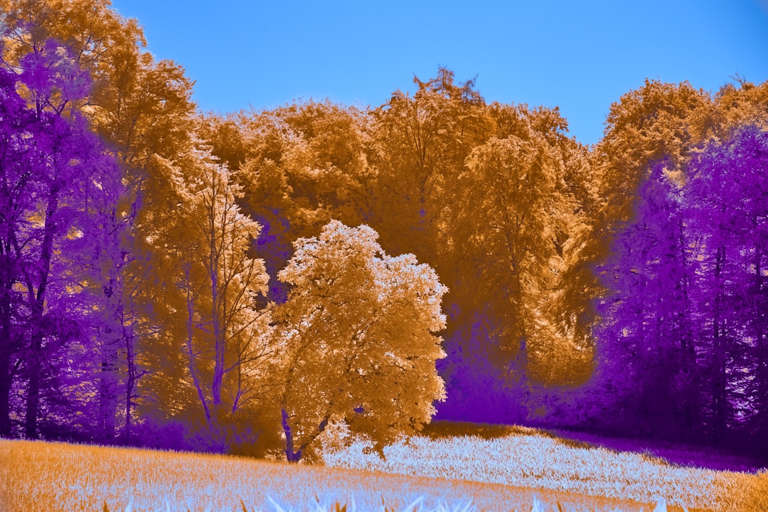 a digital painting of a tree in a field,