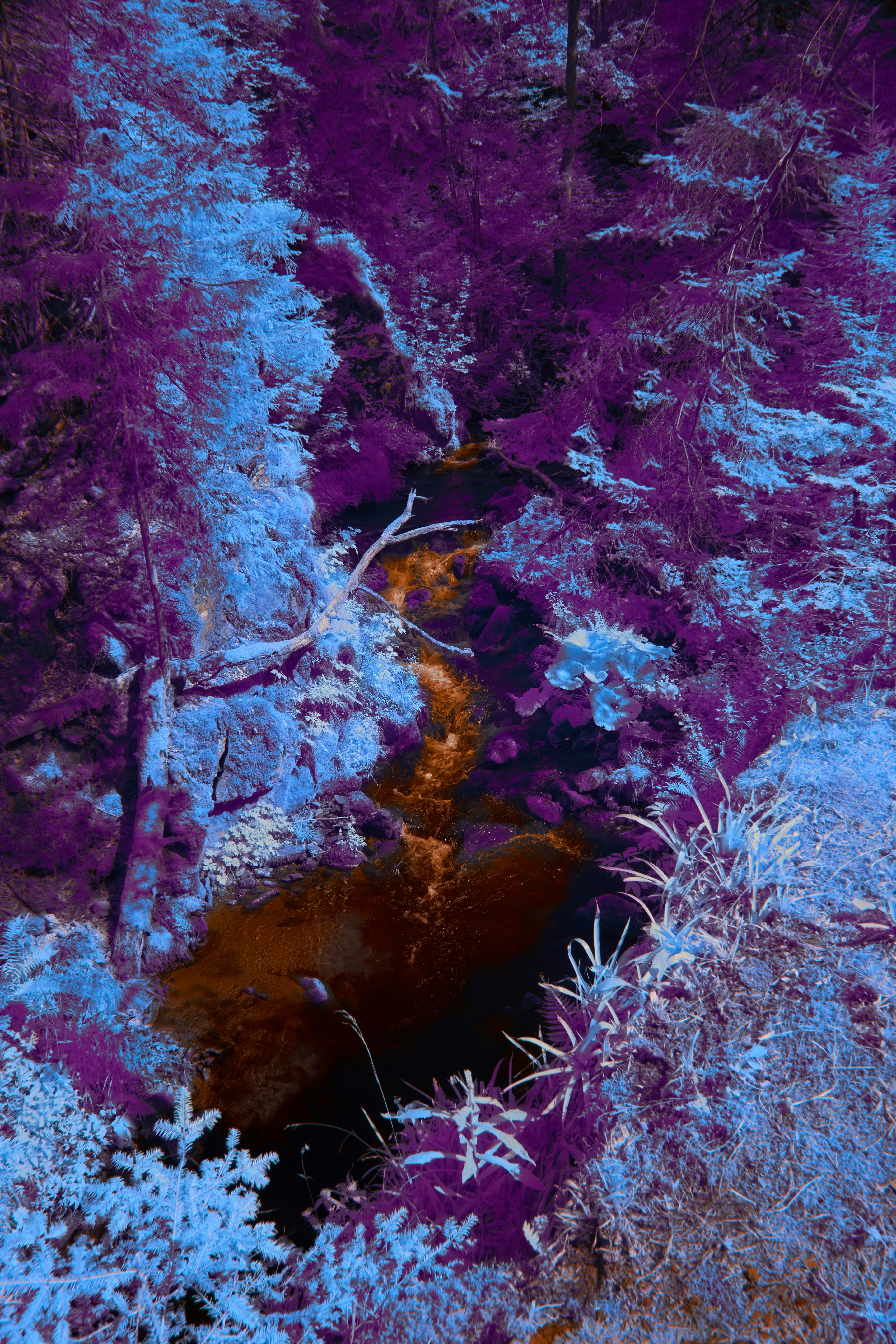 Photo by wolfgang_hasselmann