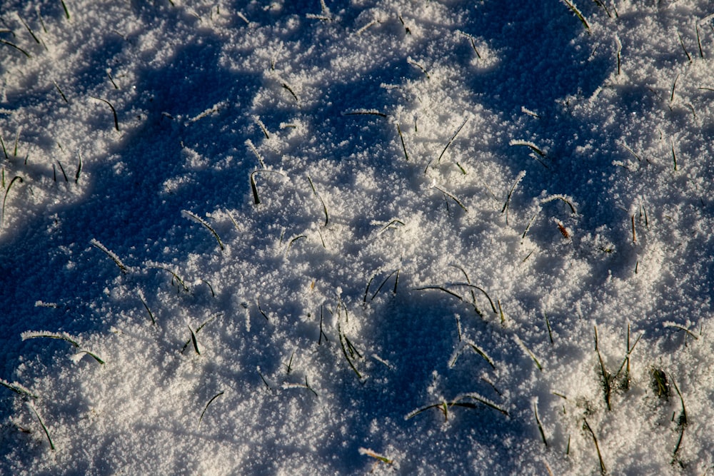 a snow covered field with grass and snow