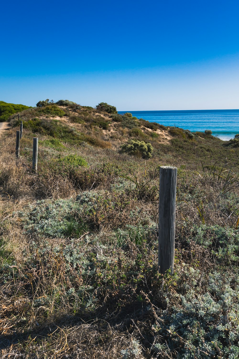 a wooden post in a grassy field next to the ocean