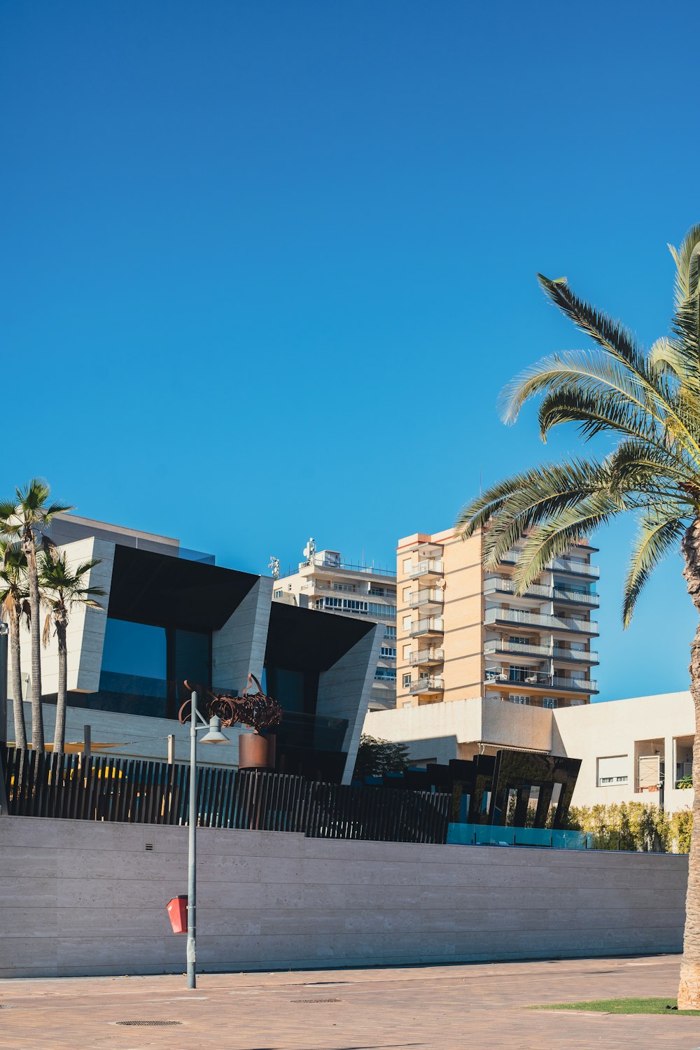 a palm tree in front of a building