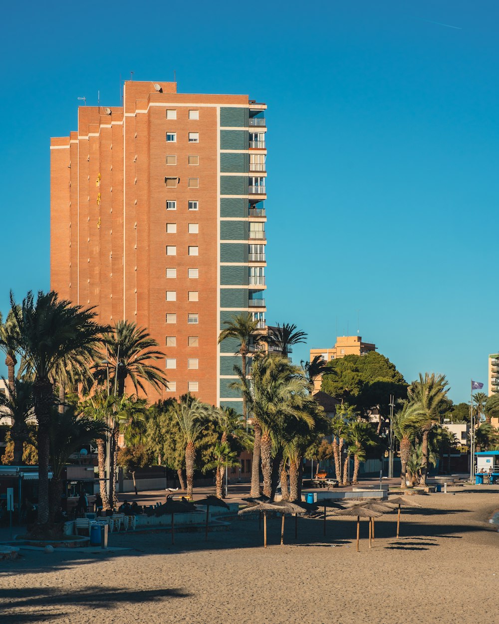 a beach with palm trees and a building in the background