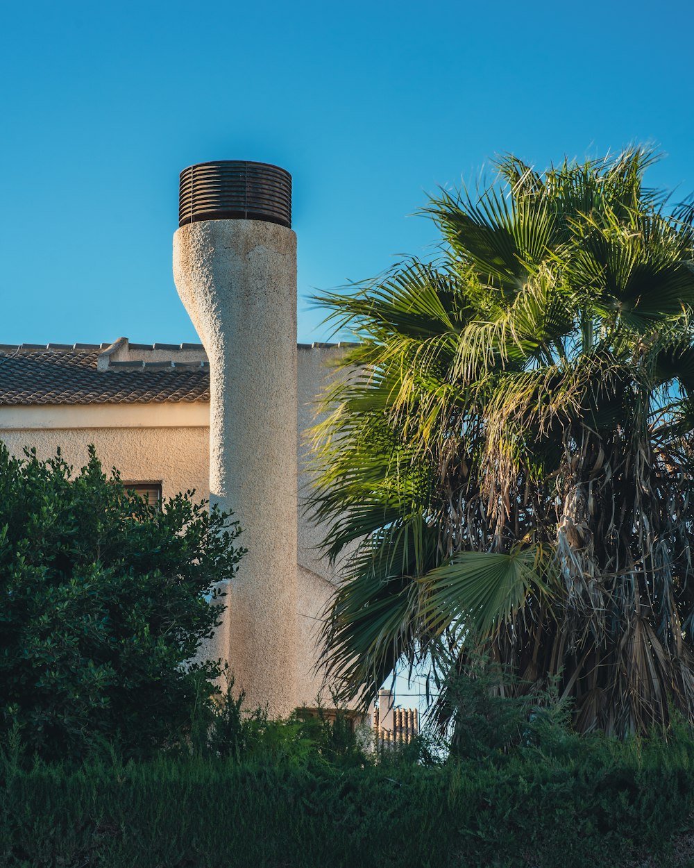 a palm tree next to a building with a chimney