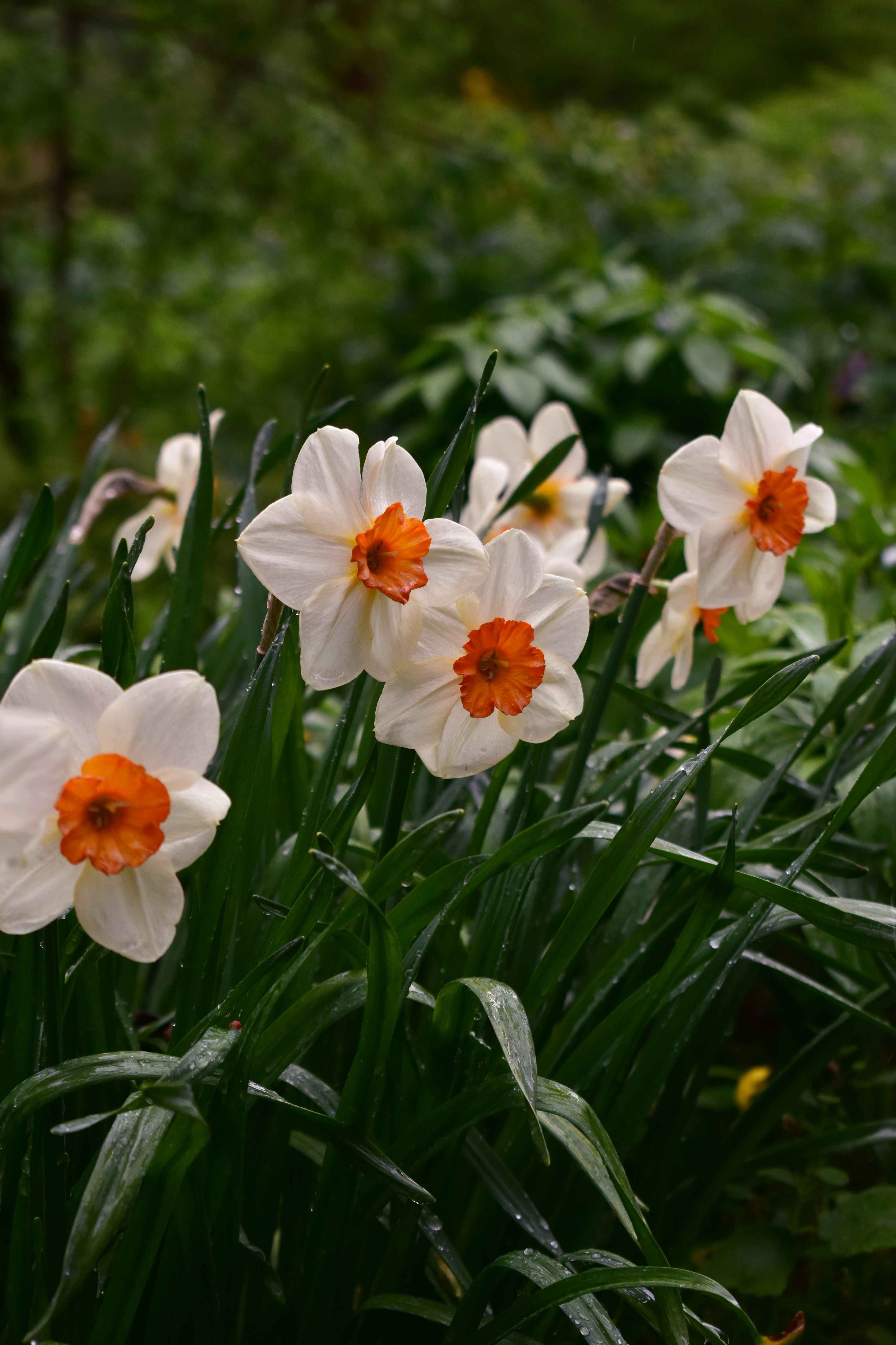 Photo by polina_grishma