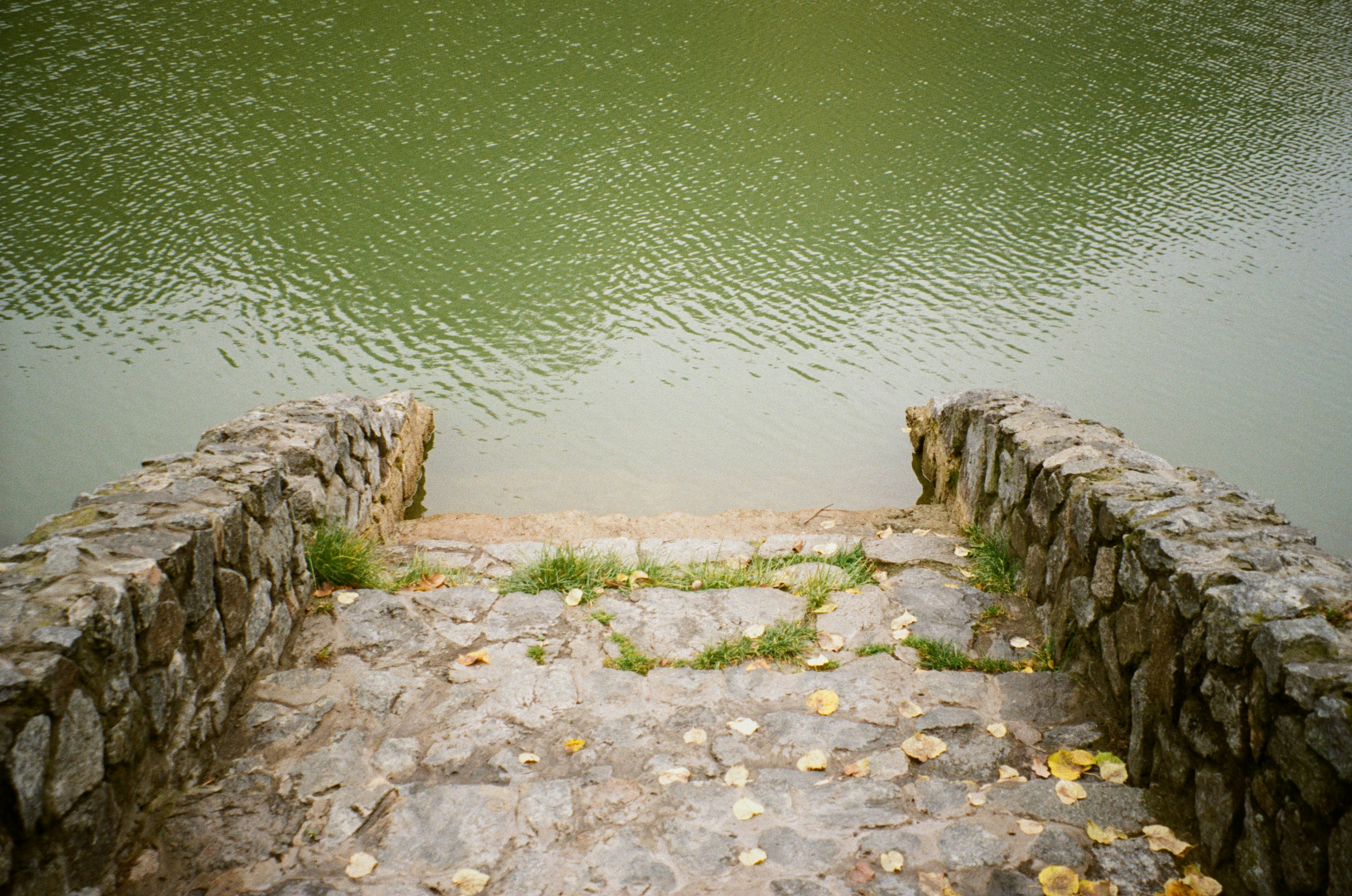 Photo by khavronichh