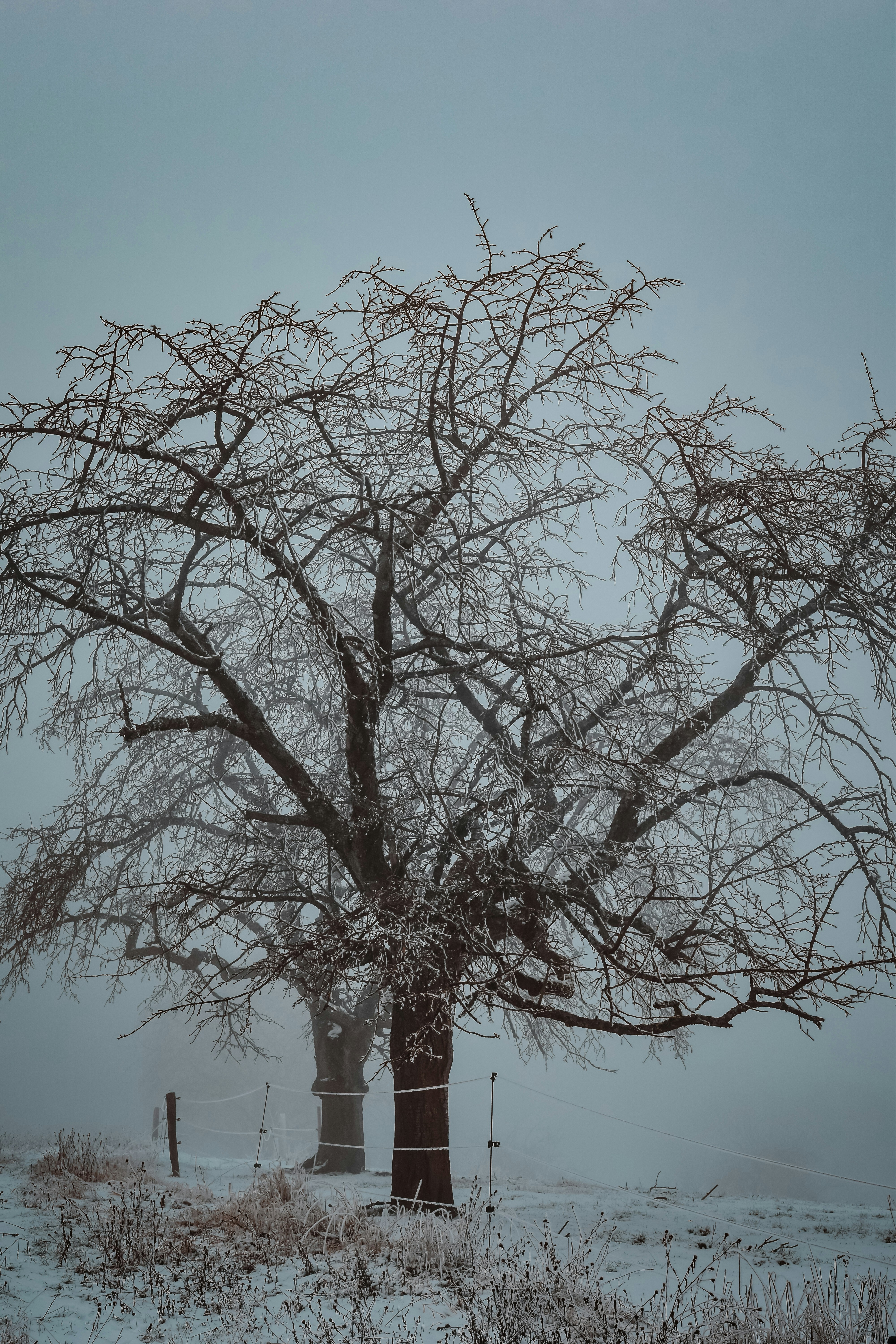 Photo by lauravalkyrja