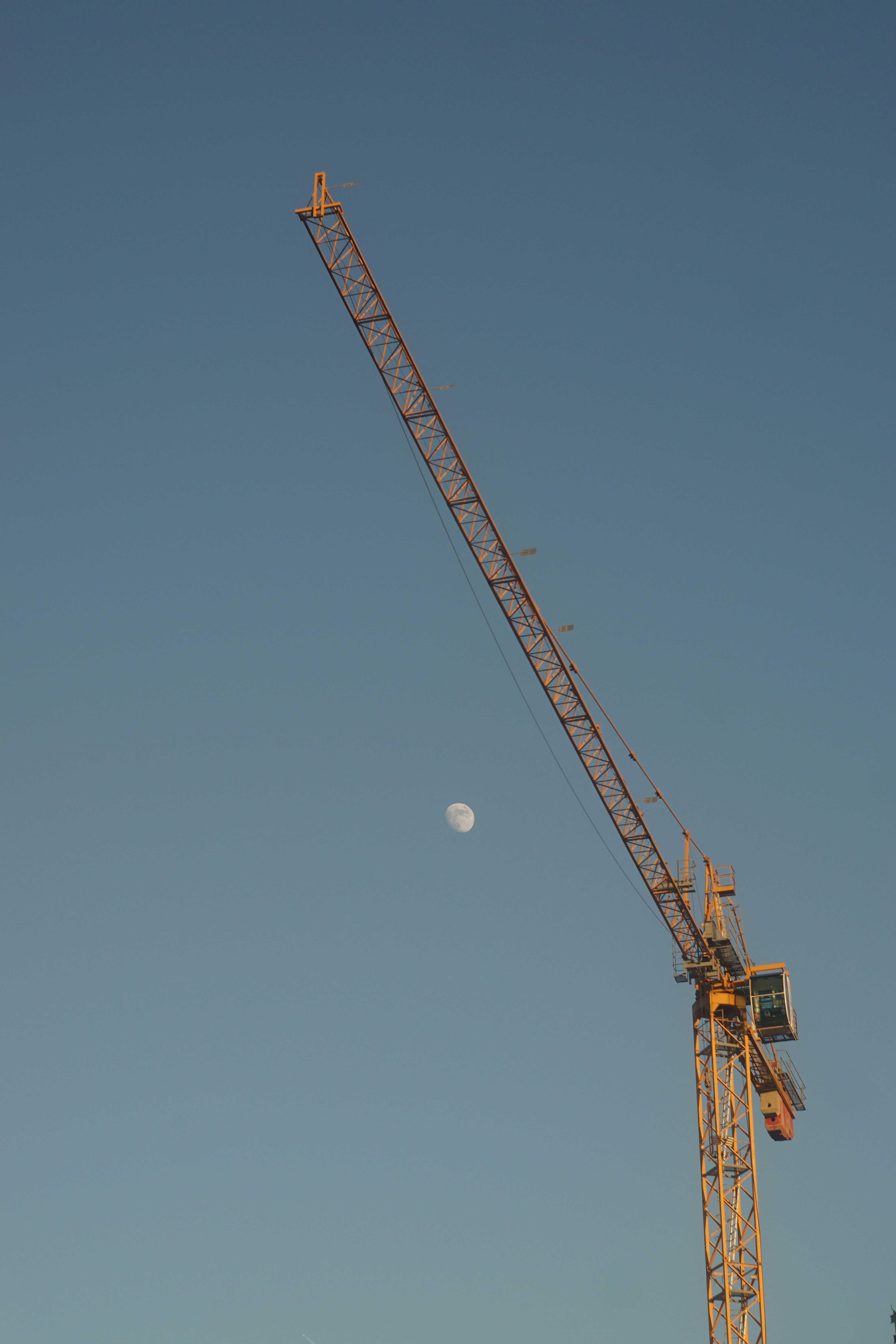 A crane with a half moon in the background photo – Free Moon