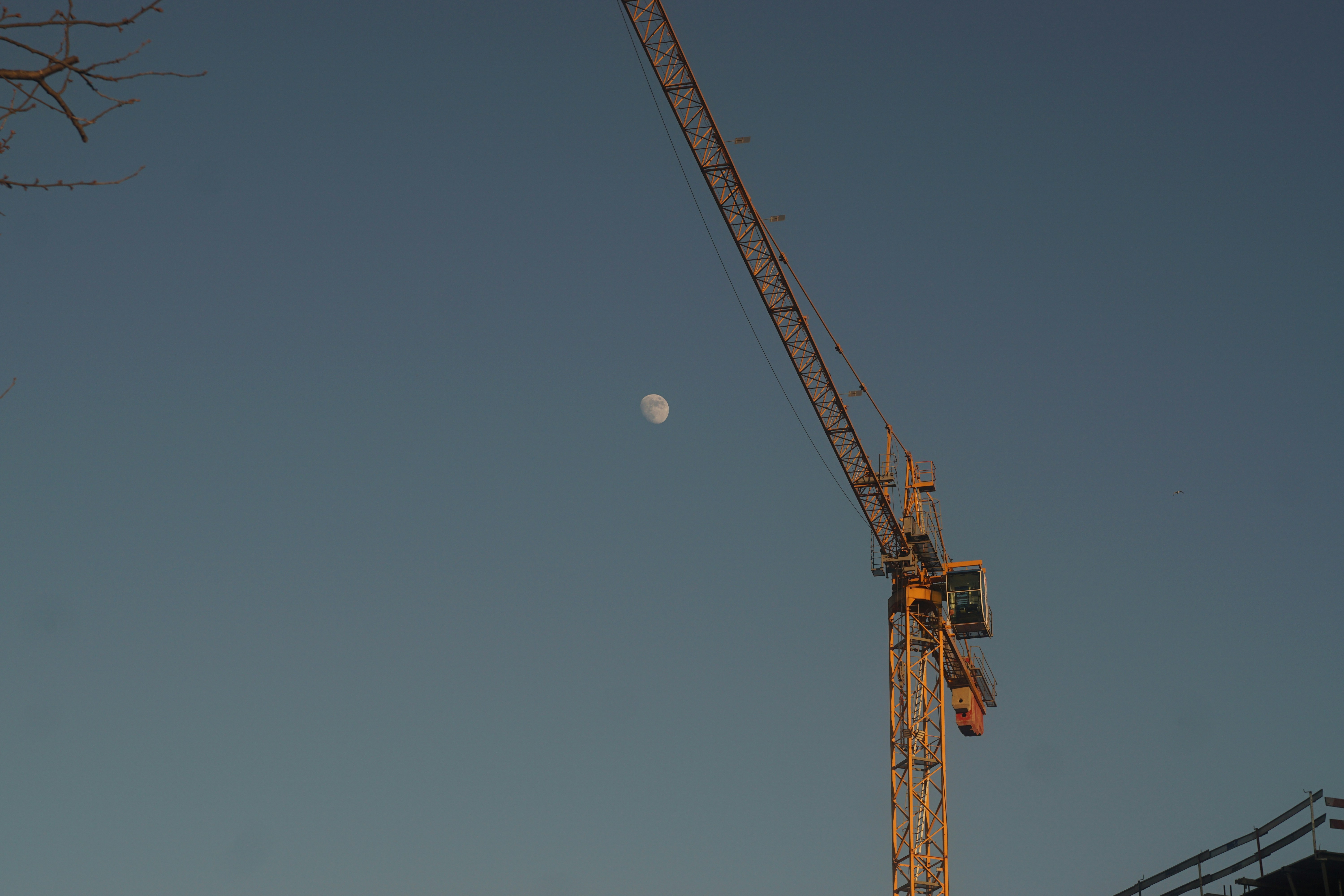 原画】『Crane in the Clouds』 原画】『Crane in the Clouds