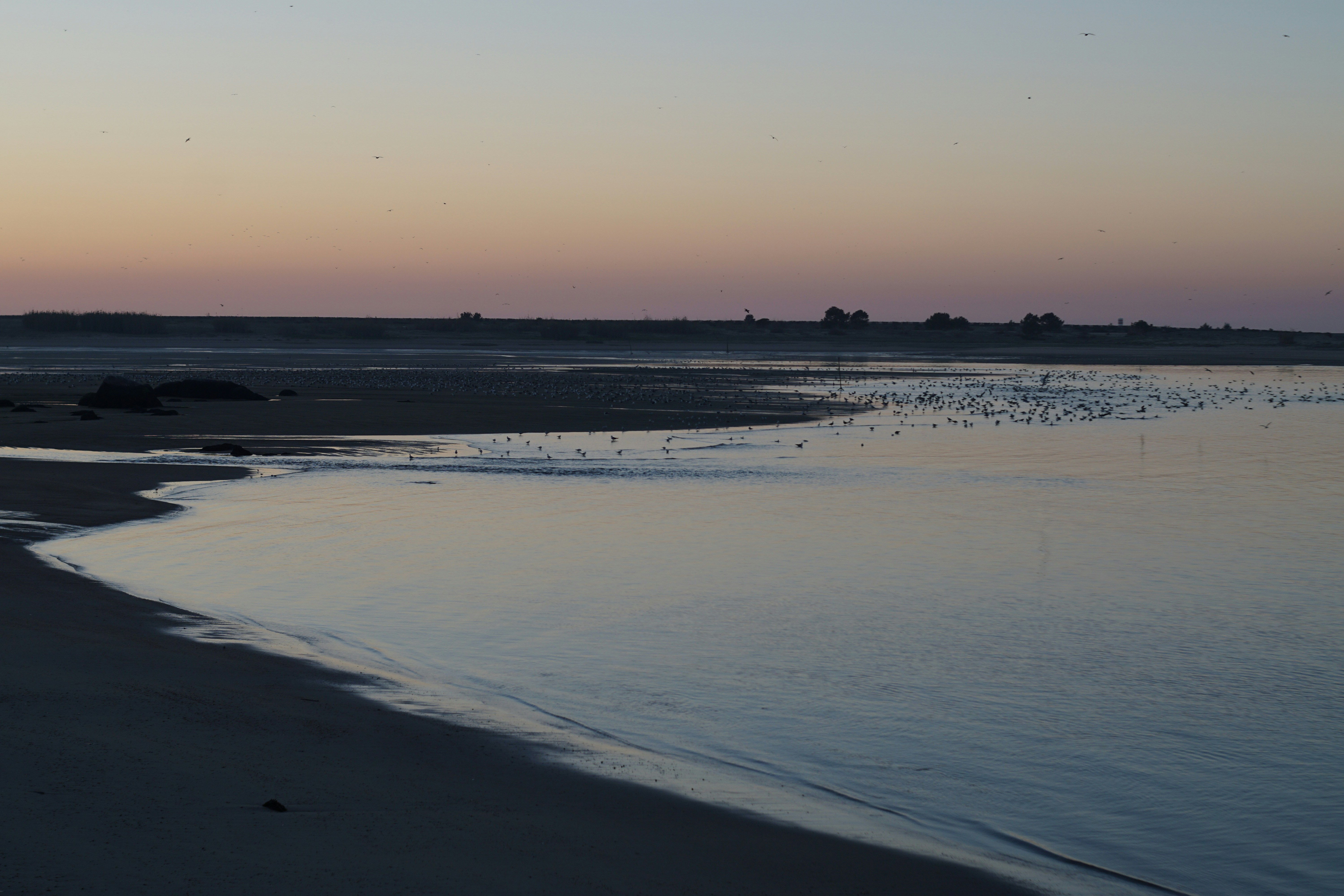 Photo by ruiphotos2k