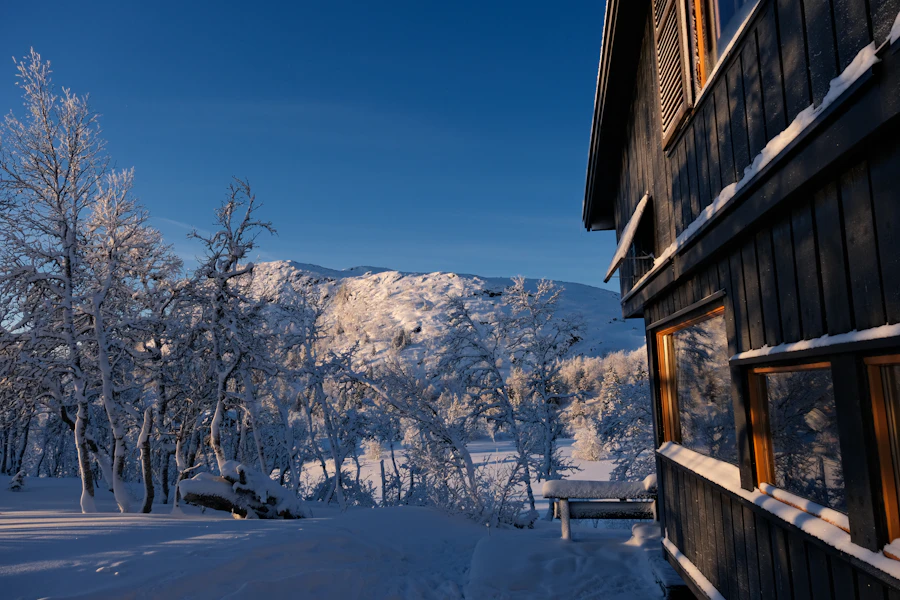 Tømmervegg og vinterfjell i morgenlys
