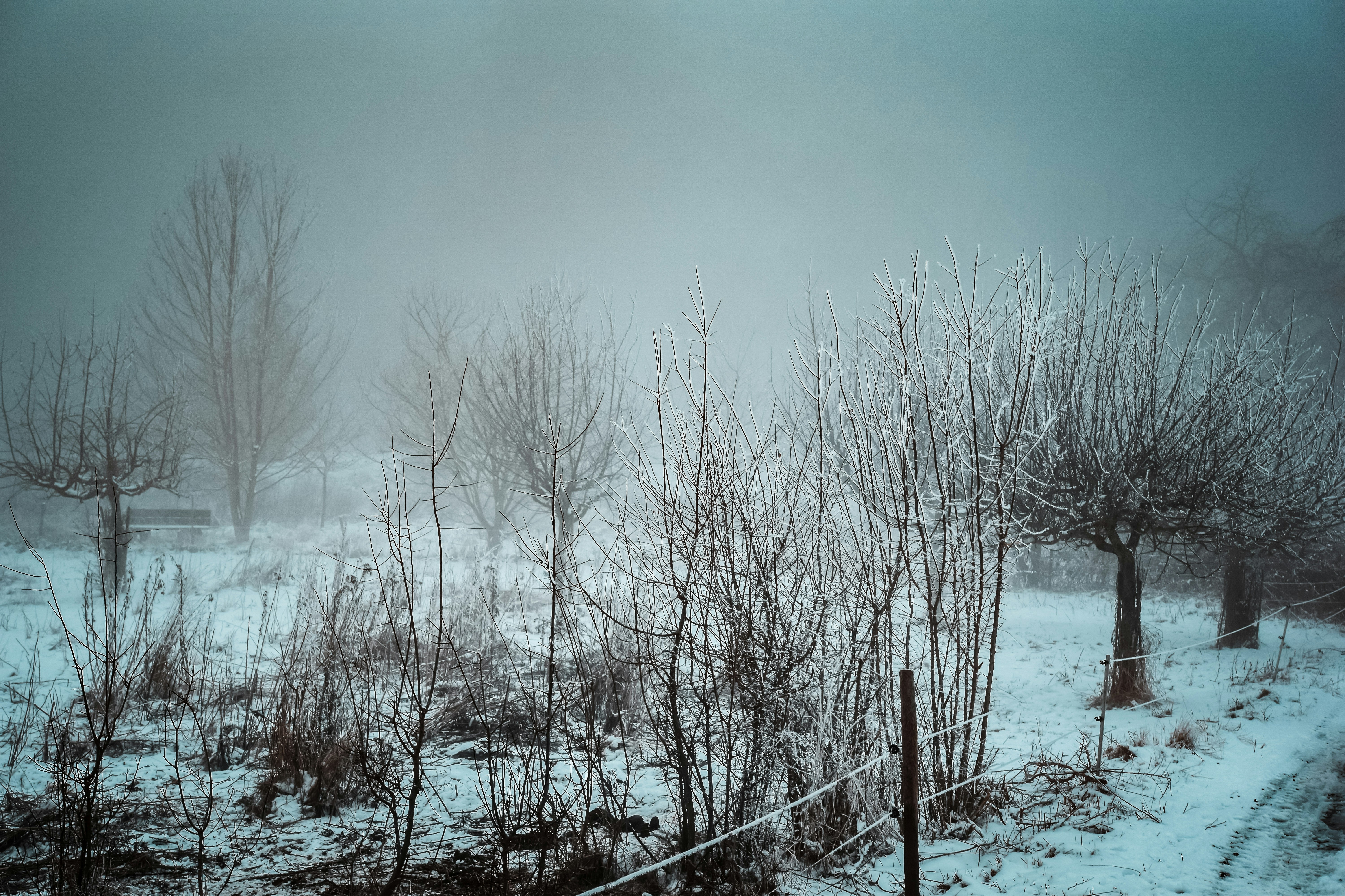 Photo by lauravalkyrja