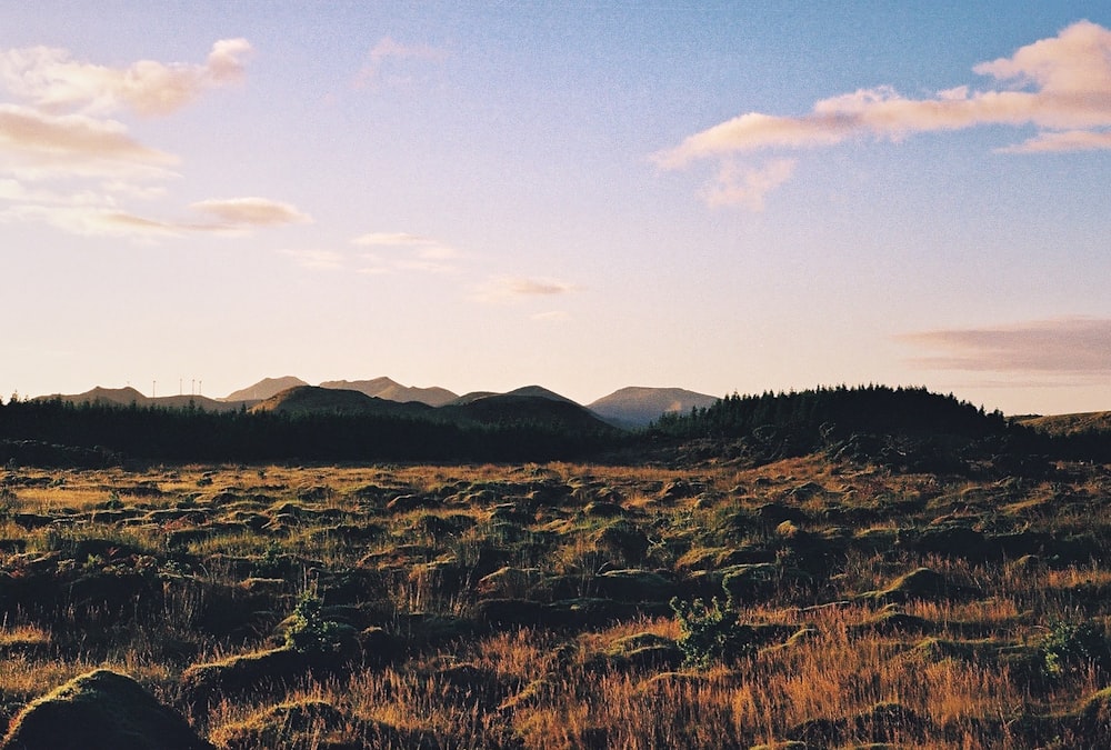 a grassy field with mountains in the distance