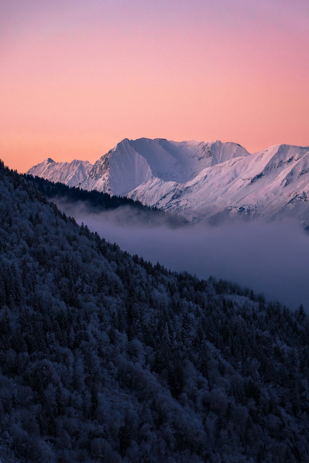 una montaña cubierta de nieve con un cielo rosado