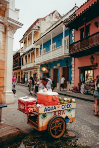 a cart with a cooler on the back of it on a city street