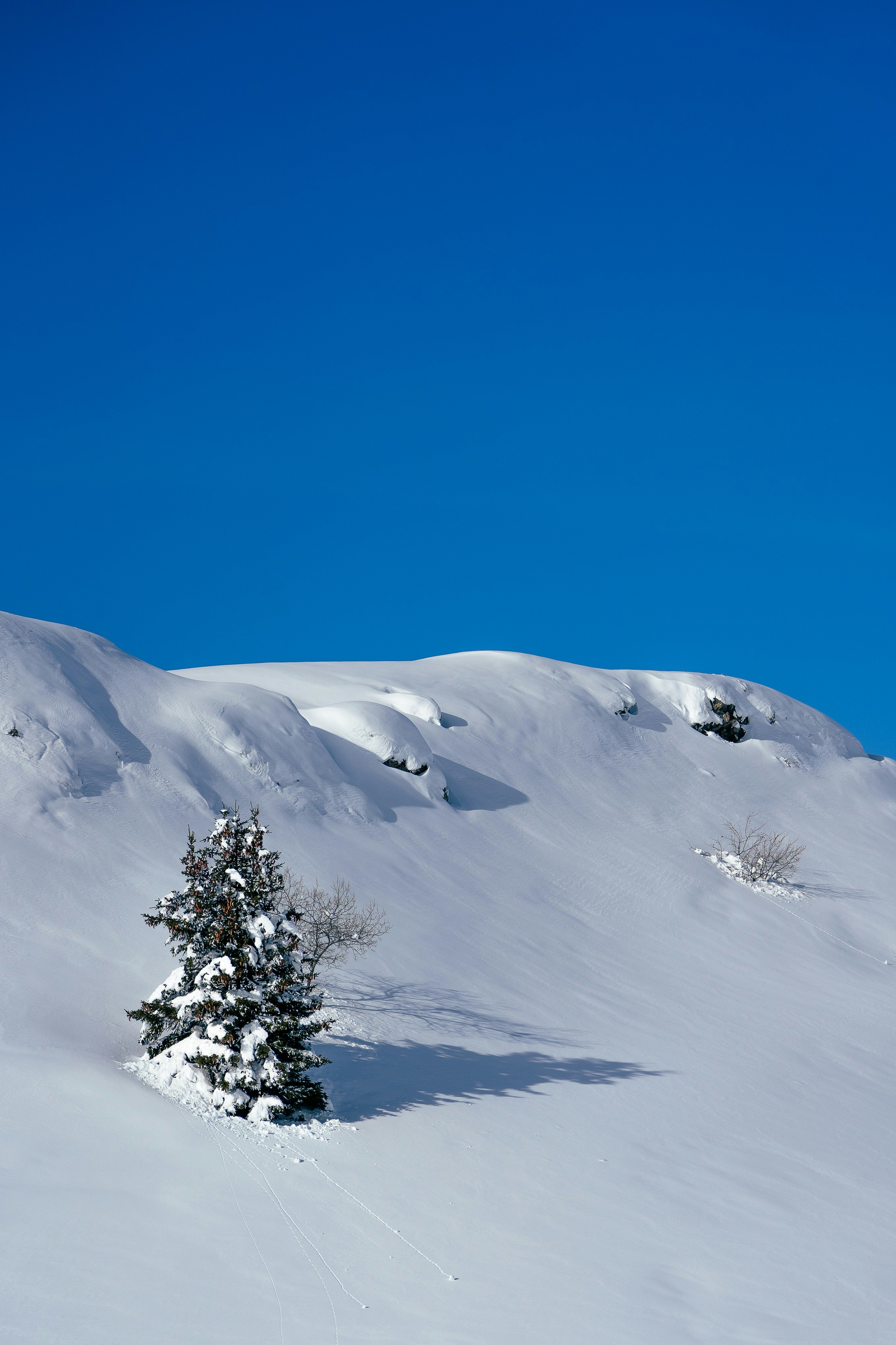 Photo by mylenehaudebourg14