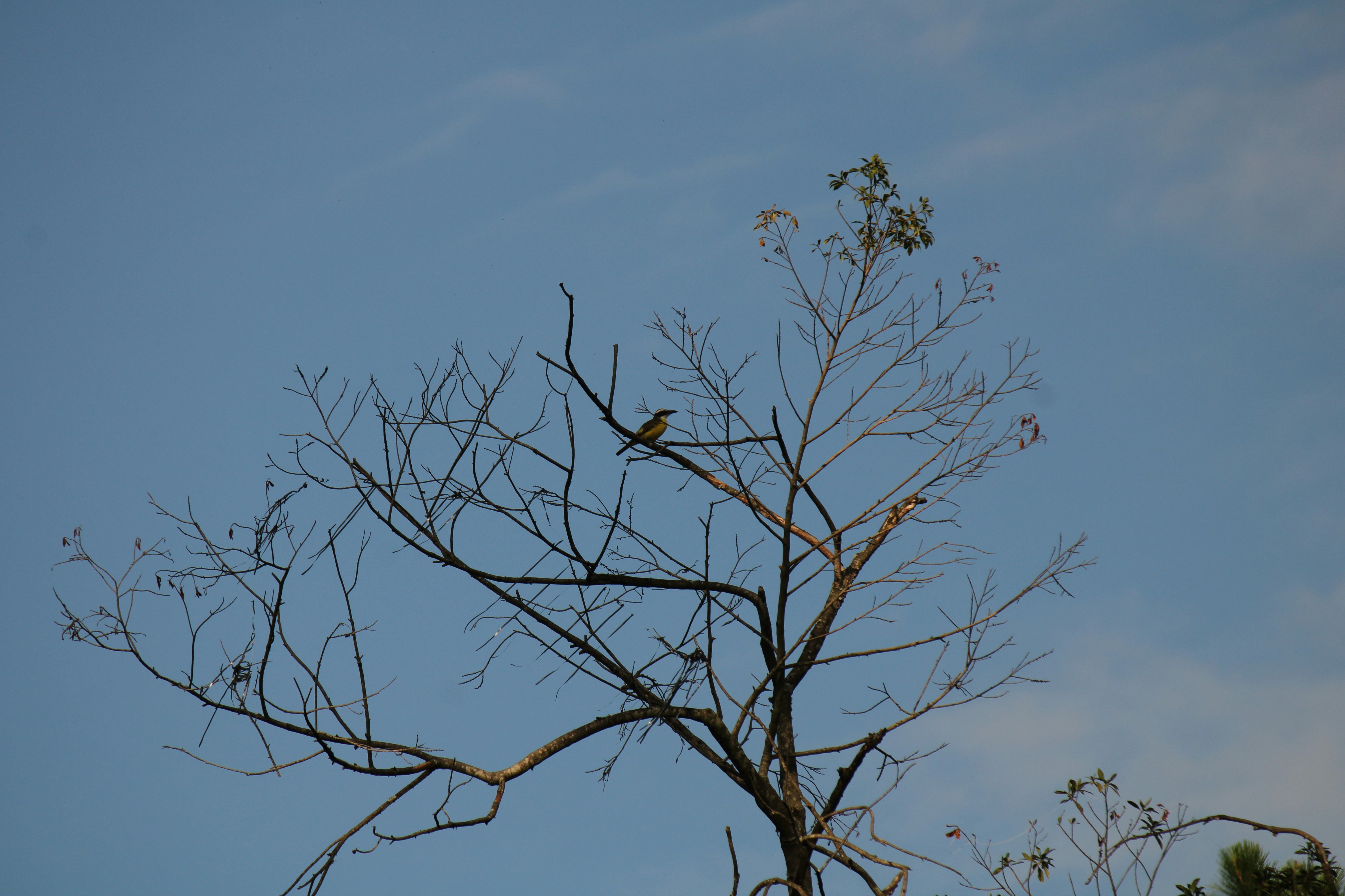 Photo by paulo_pescada