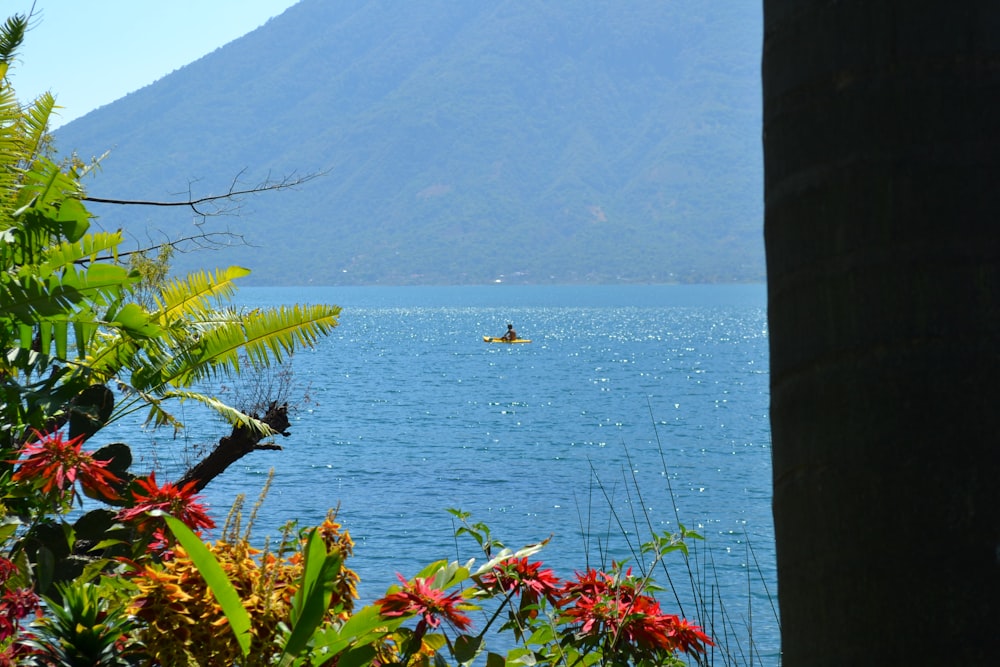 a person in a boat on a body of water