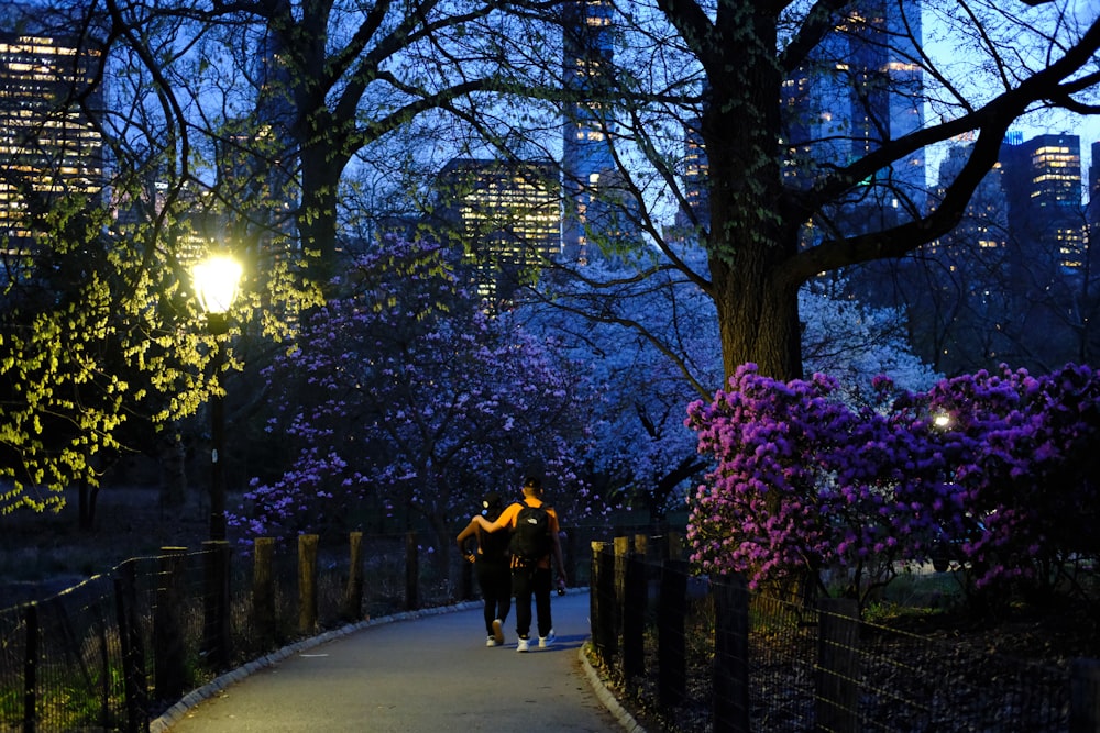 two people walking down a path at night