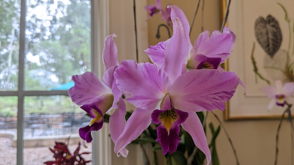 a vase filled with purple flowers next to a window