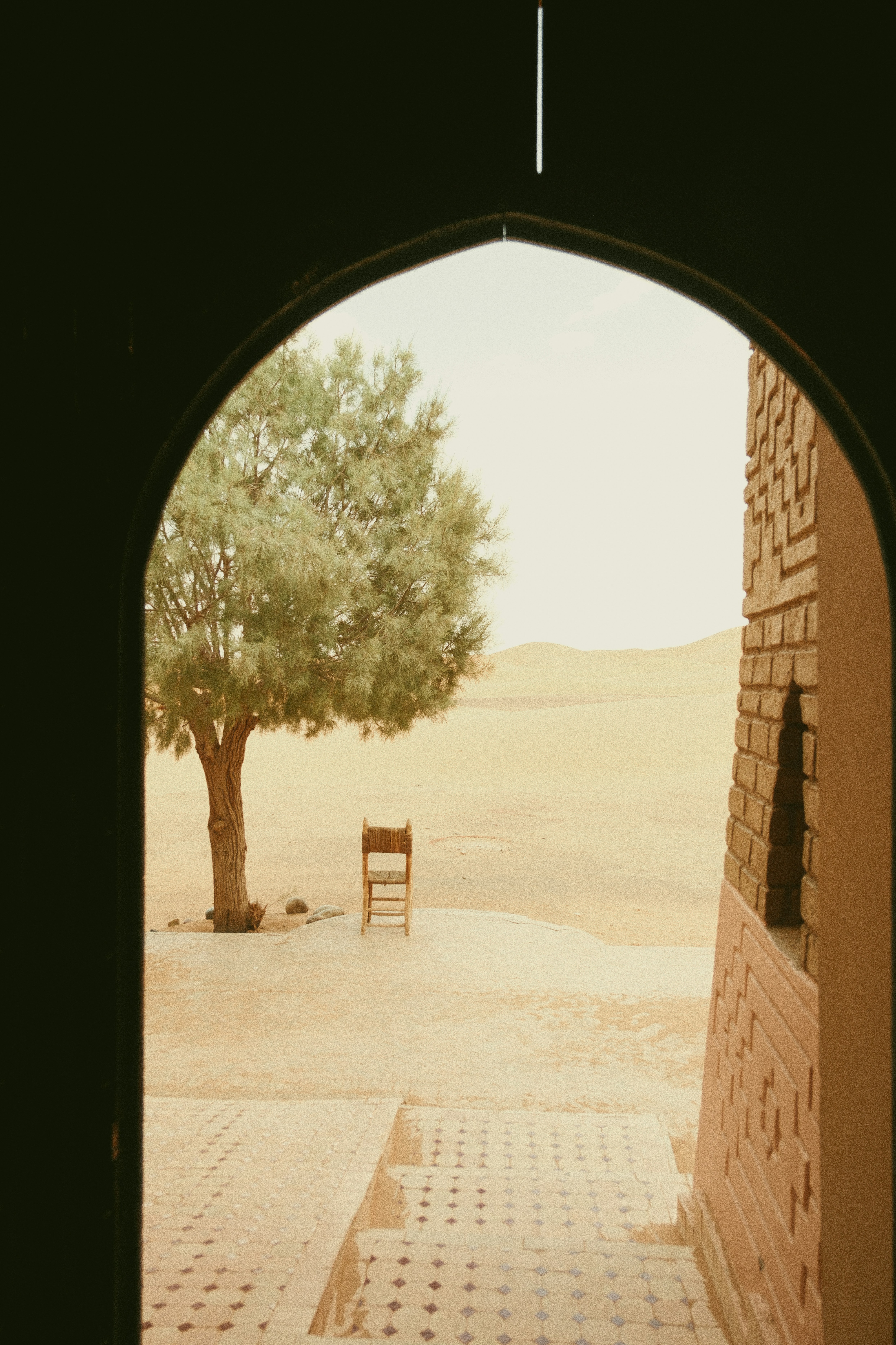 a tree and a bench in a courtyard
