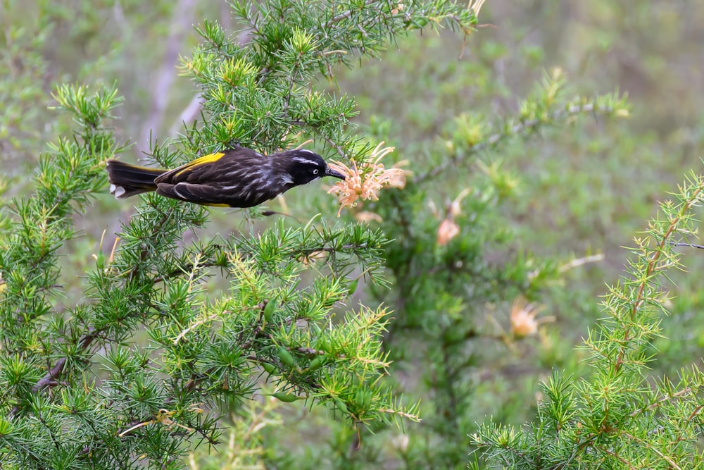 a small bird perched on top of a tree branch