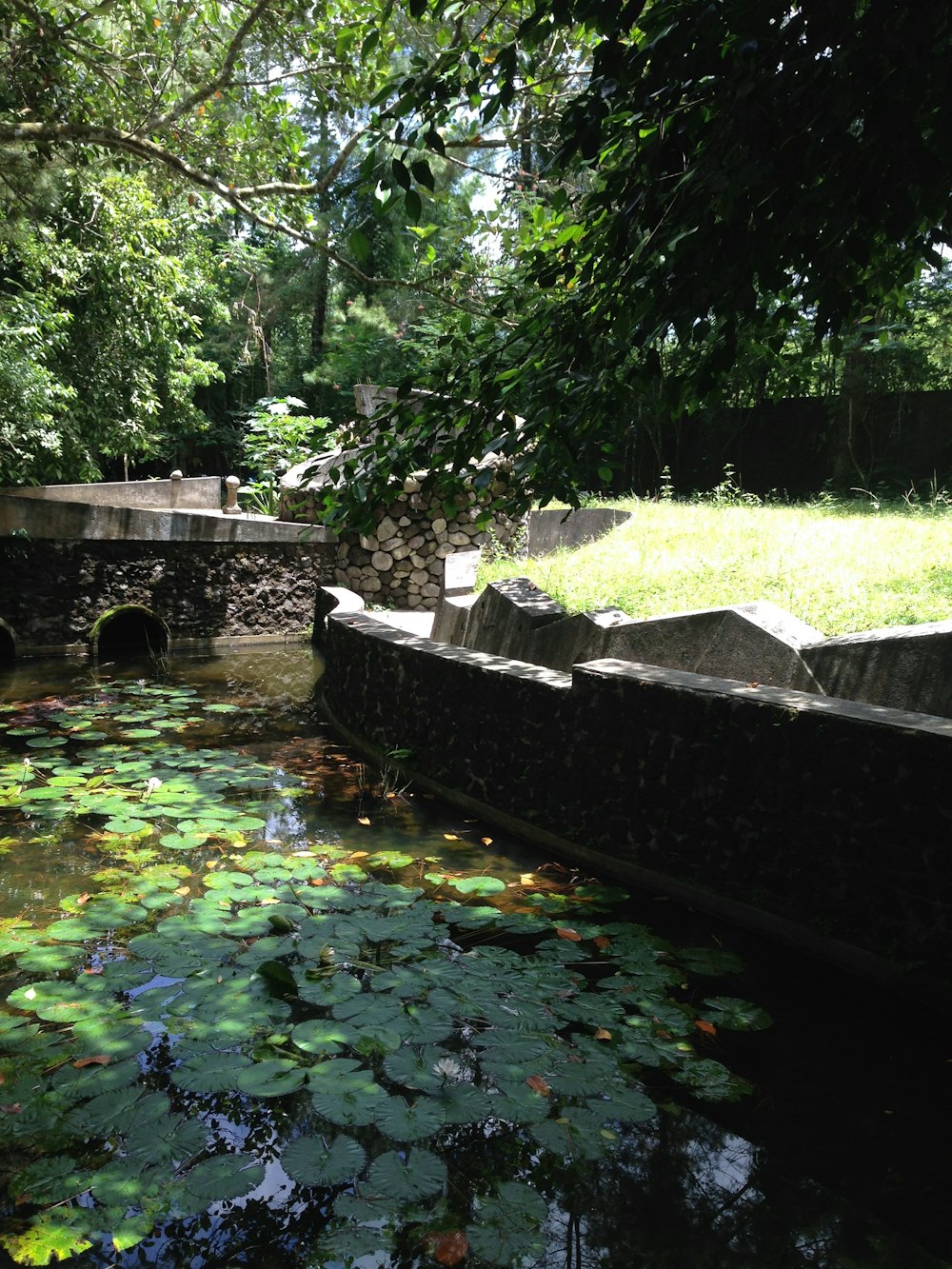 a pond with lily pads and a stone bridge